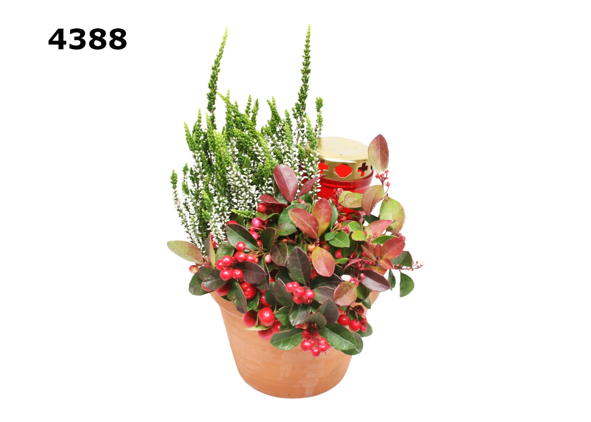 Graf roodsteen azaleapot M, D 16 cm