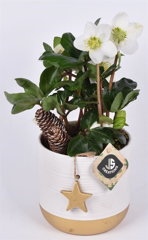 Keramiek met goud ster 13cm, D 13 cm