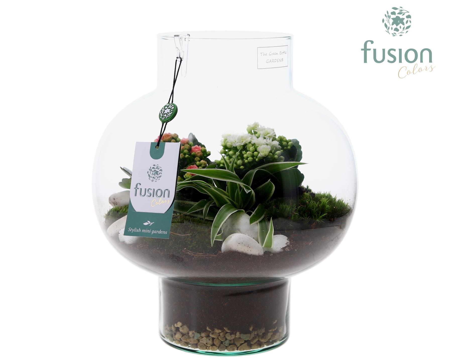 Green Bottle Laura Medium met arrangement, D 26