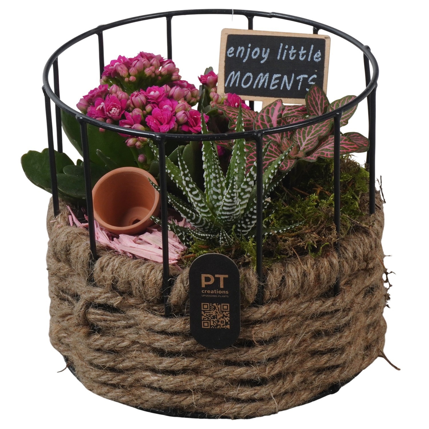 PTIB5273 Arrangement Indoor in touwmand met metaal, D 17