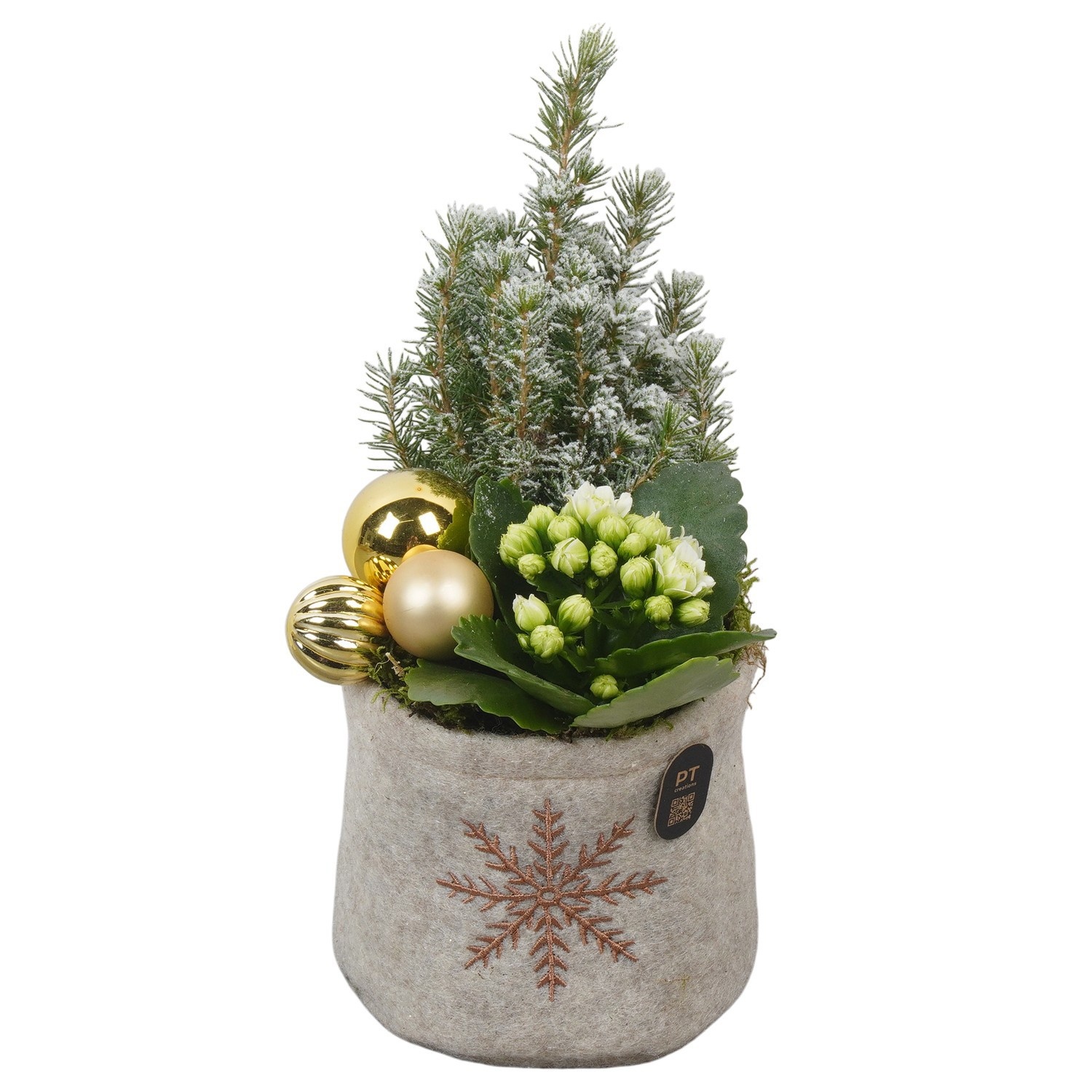 PTCHG4691 Arrangement Christmas Gold in stoffen zak, D 13