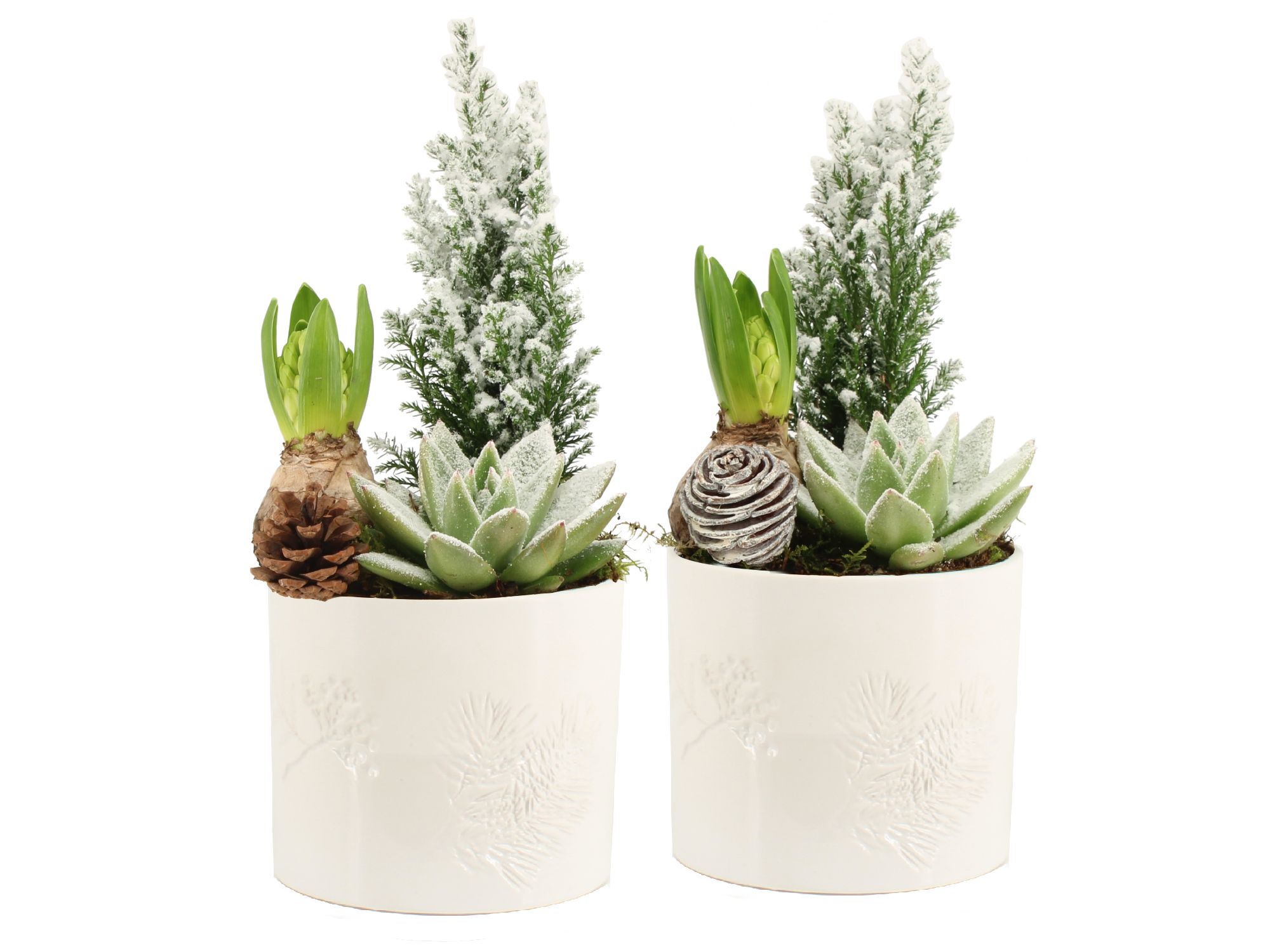 61692: X-mas arrangement, D 11 cm