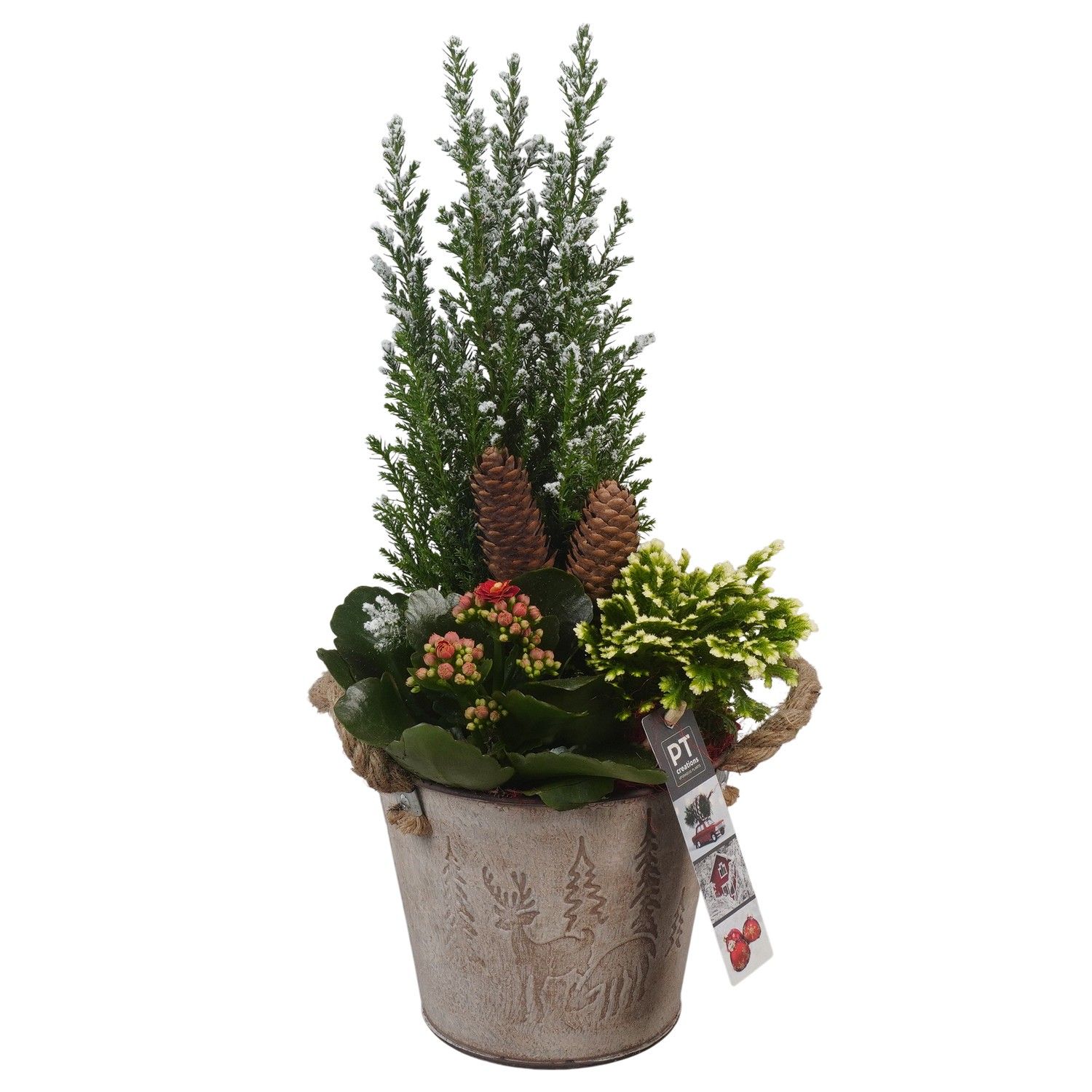 PTCHR7339 Arrangement Christmas Red in metaal pot, D 15 cm