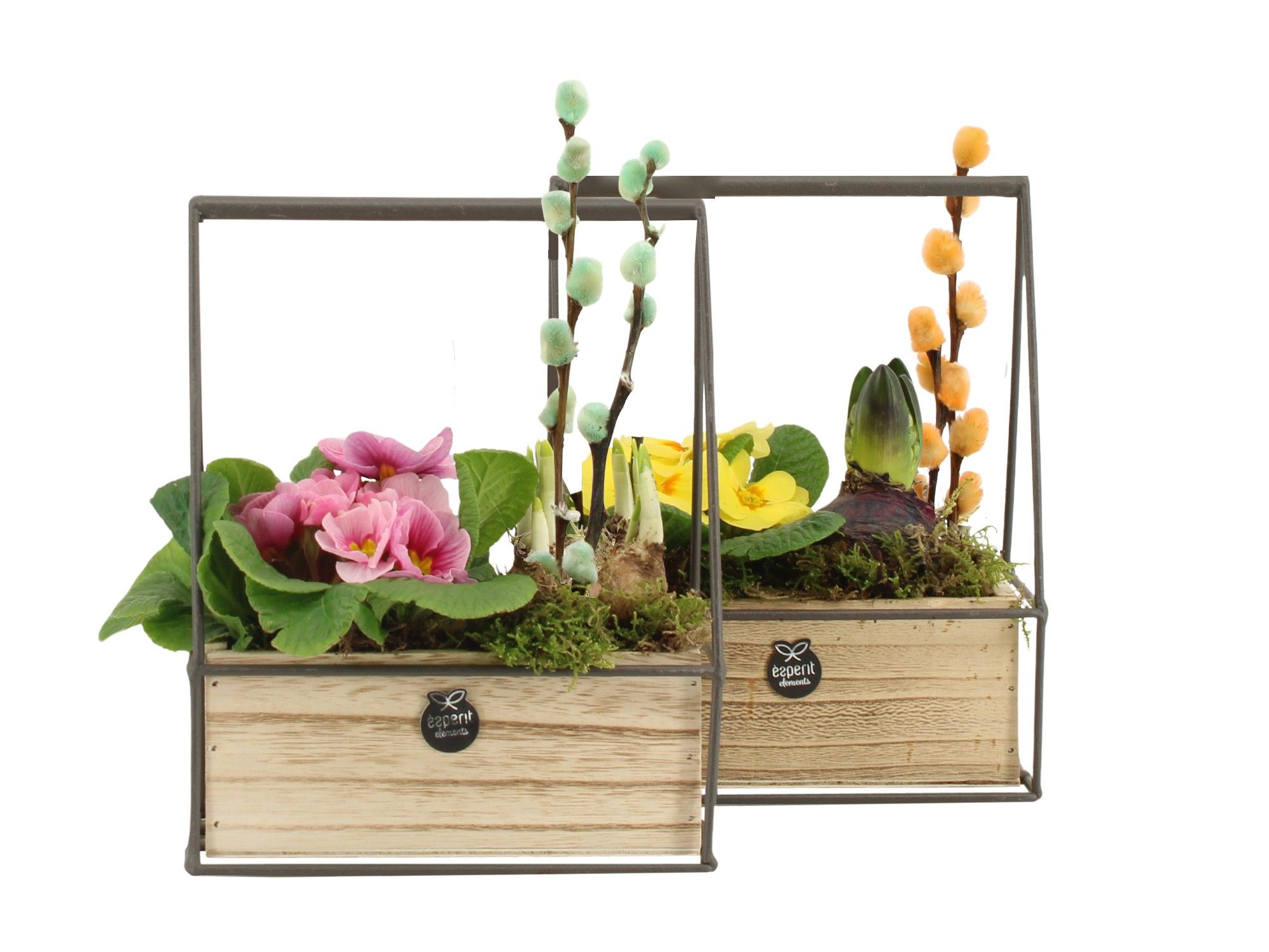 11675: Outdoor spring arrangement, D 16 cm