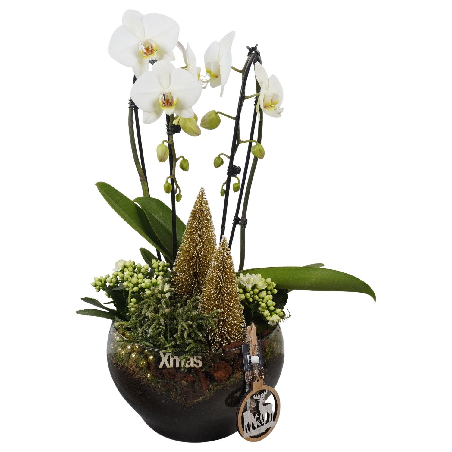 PTCHG5765 Arrangement Christmas Gold in glas schaal, D 23 cm