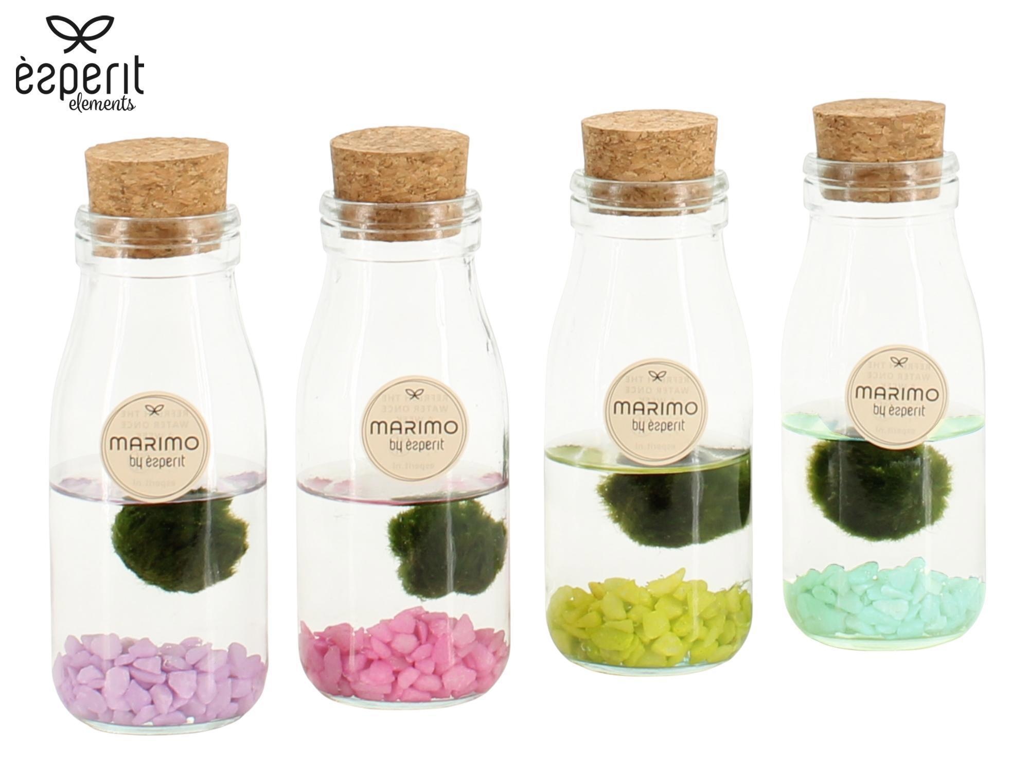 90941: Marimo arrangement, D 6