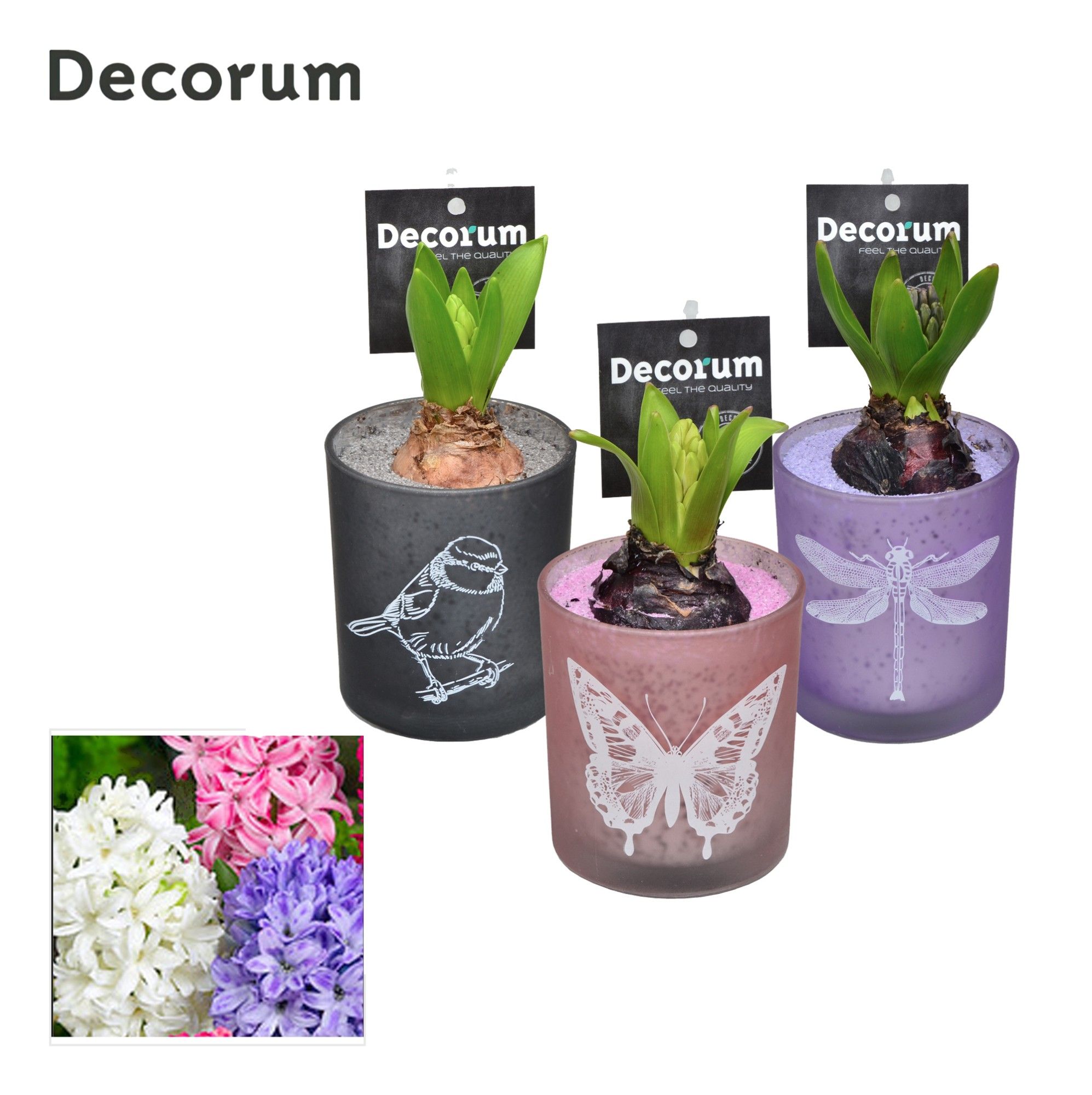 Hyacint Mini Printed Glass HL18110 [LOVELY COLORS], D 8