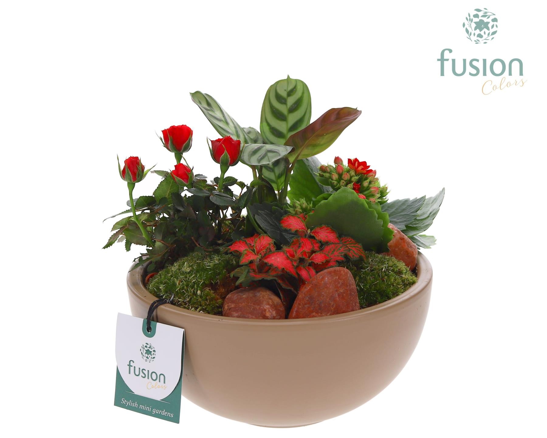 Schaal keramiek Moon Medium beige Love met arrangement, D 18