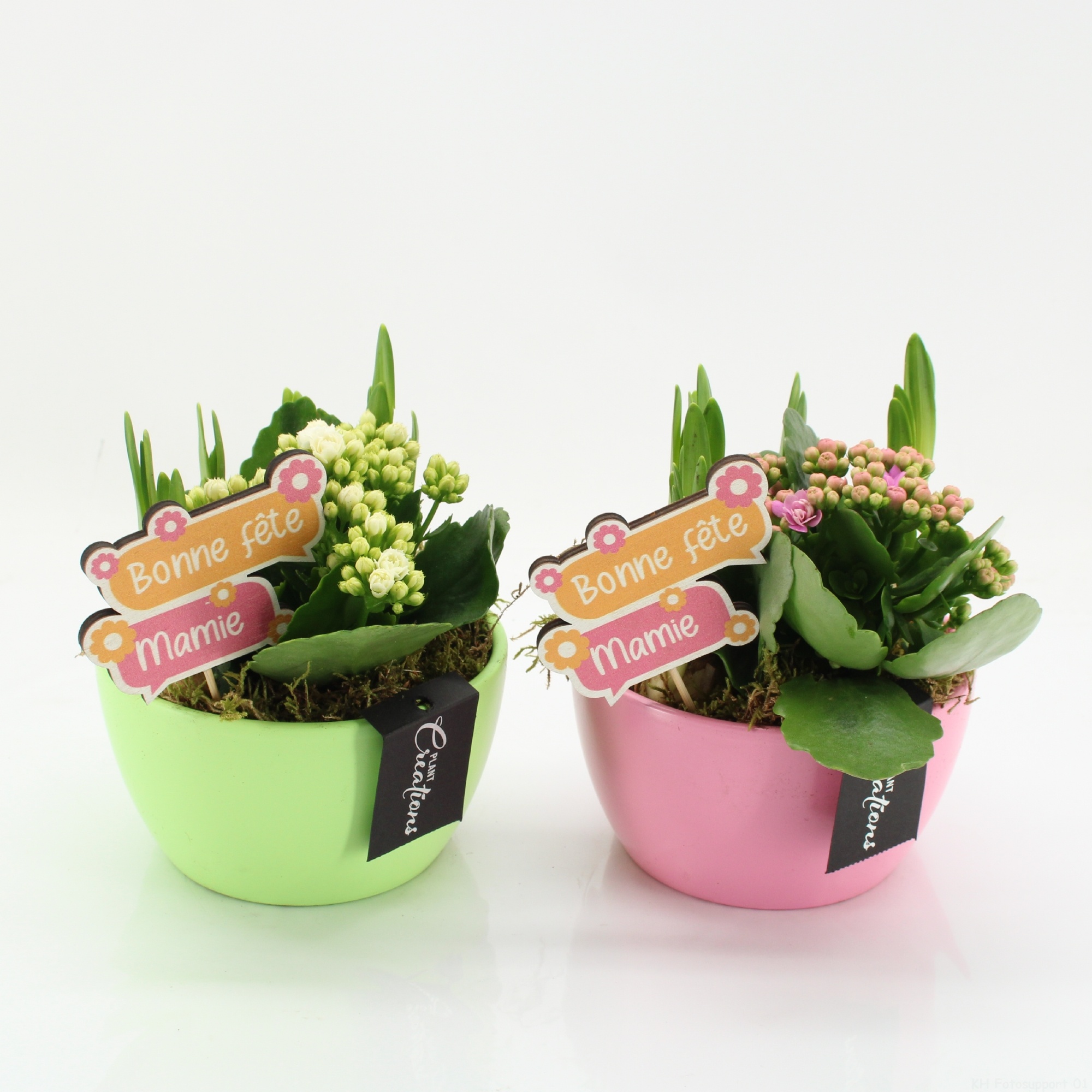 FGCR-2602M Fête des grands-mères, D 14