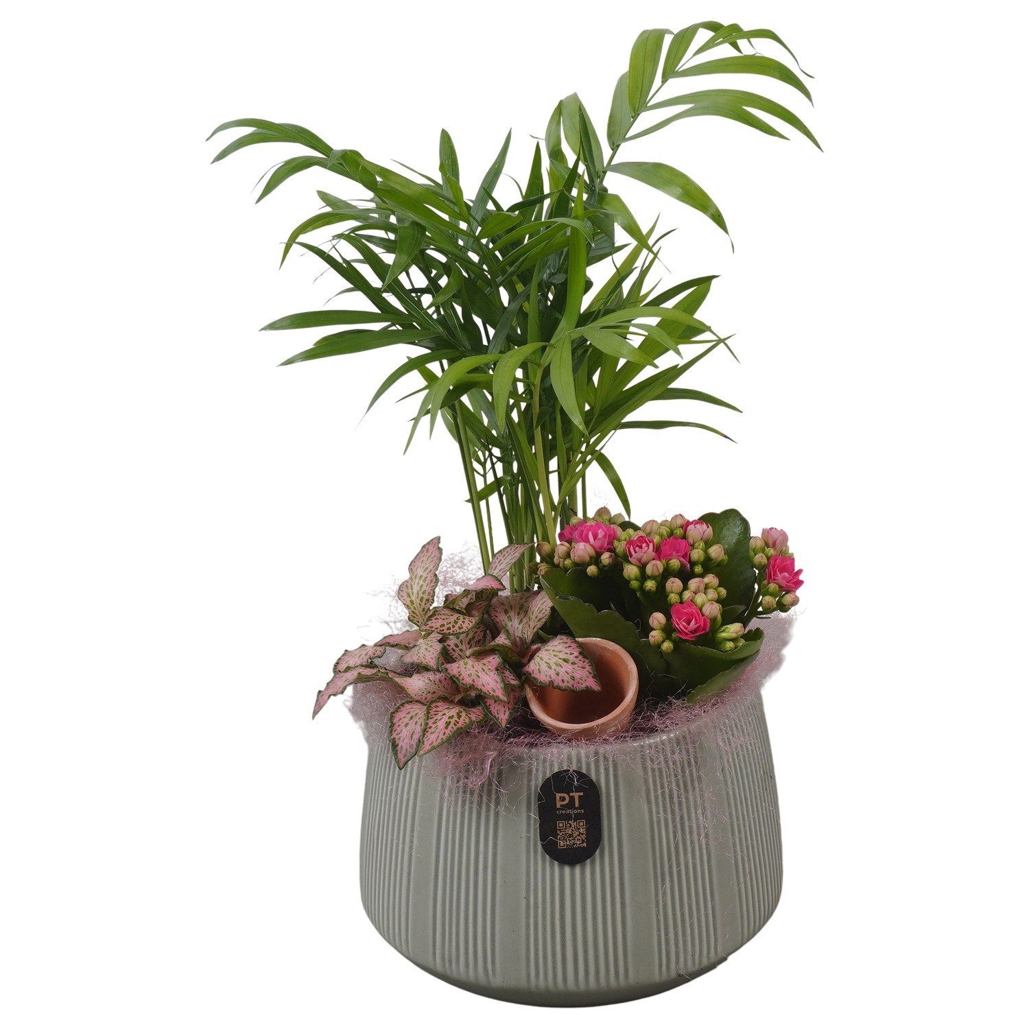 PTIB5172 Arrangement Indoor in keramiek pot, D 14