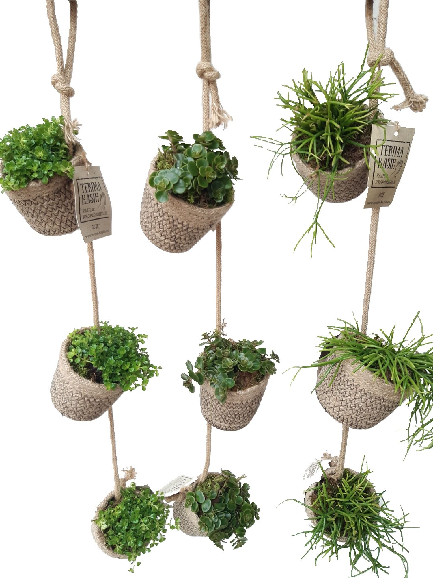 GL40GEM Jute Garland. 3xmini jute mand hangend mixtray, D 8