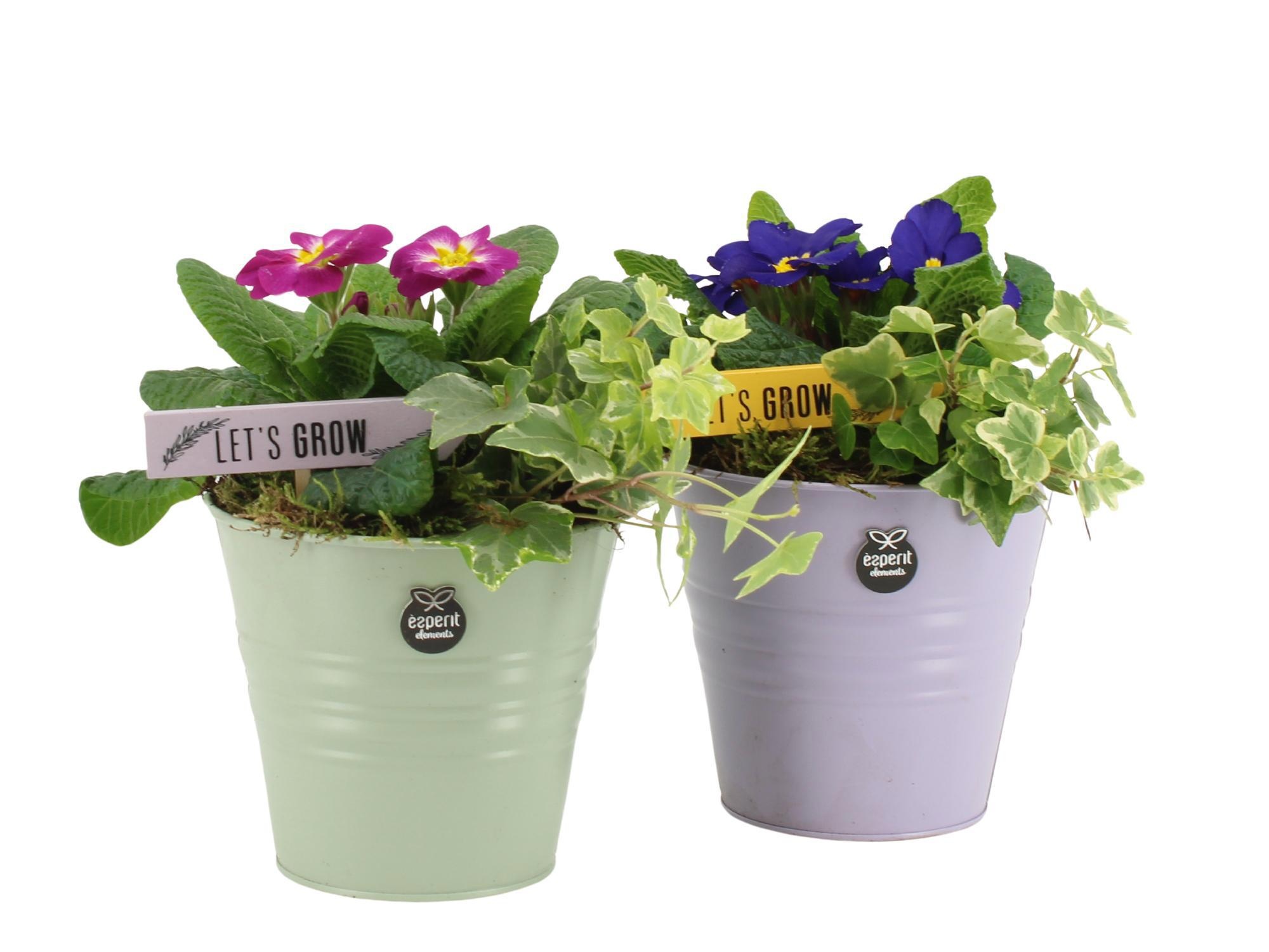 11428: Outdoor spring arrangement, D 14 cm