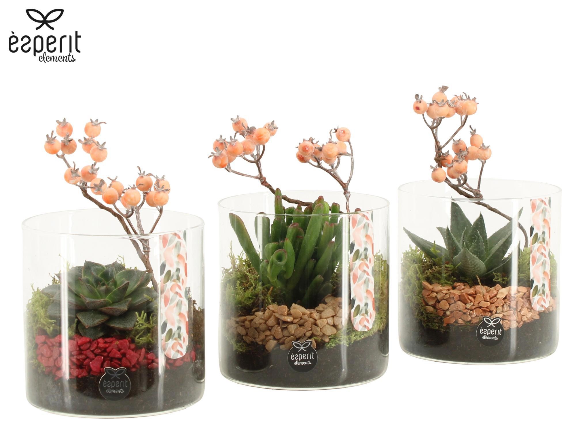 41787: Recreate arrangement, D 12