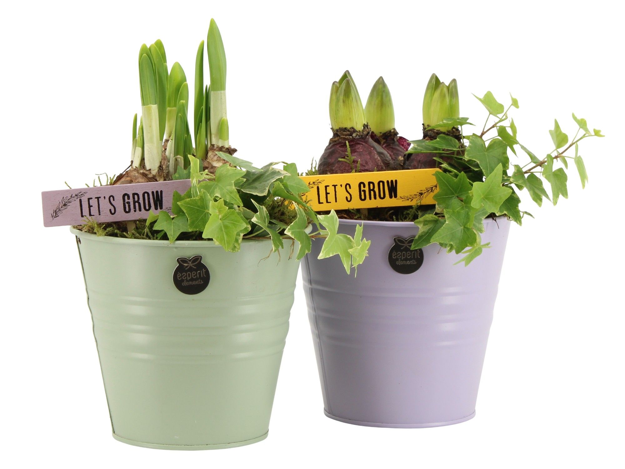 11429: Outdoor spring arrangement, D 14 cm