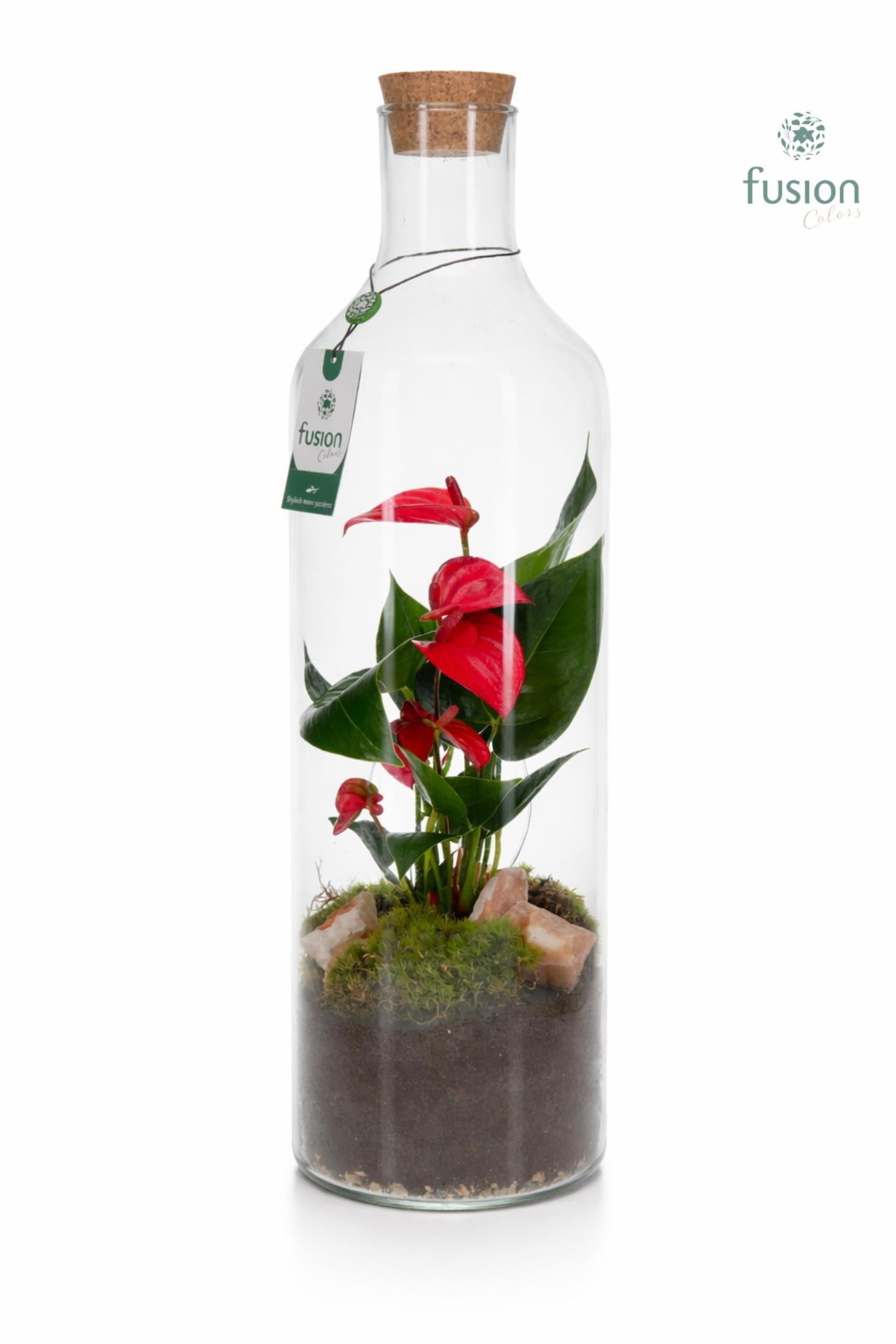Green Bottle Fles Large met Anthurium, D 15