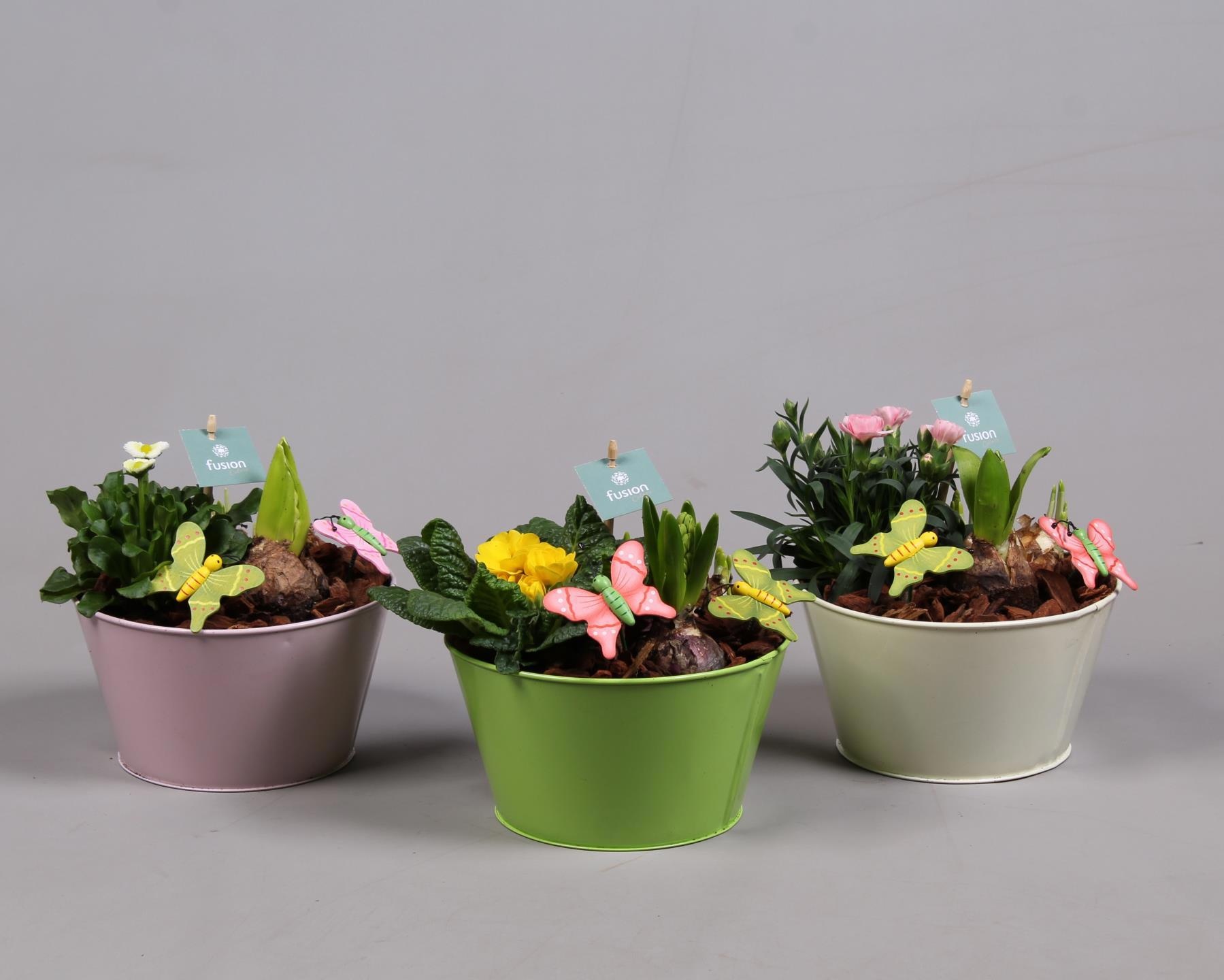 Zinken schaal met arrangement voorjaar, D 18 cm