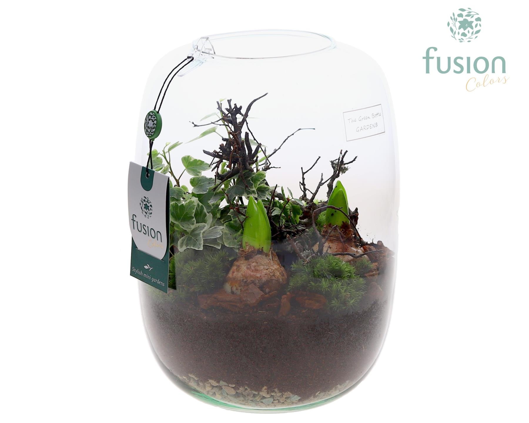 Green Bottle Isabella Large met Hyacinten arrangement, D 19