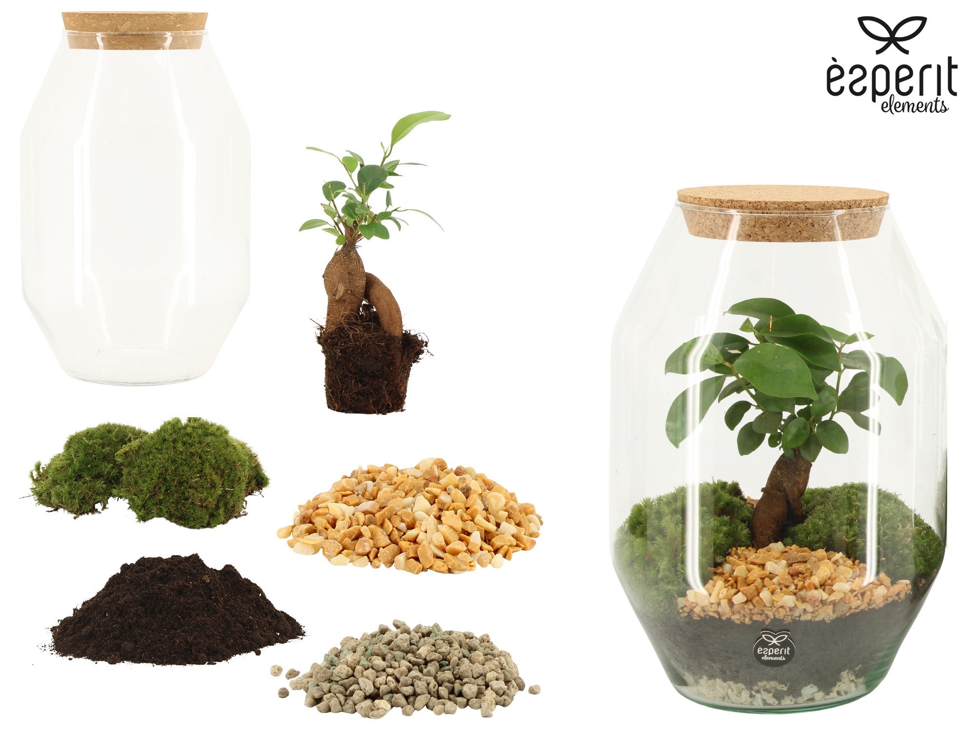 90864: DIY Terrarium arrangement, D 17