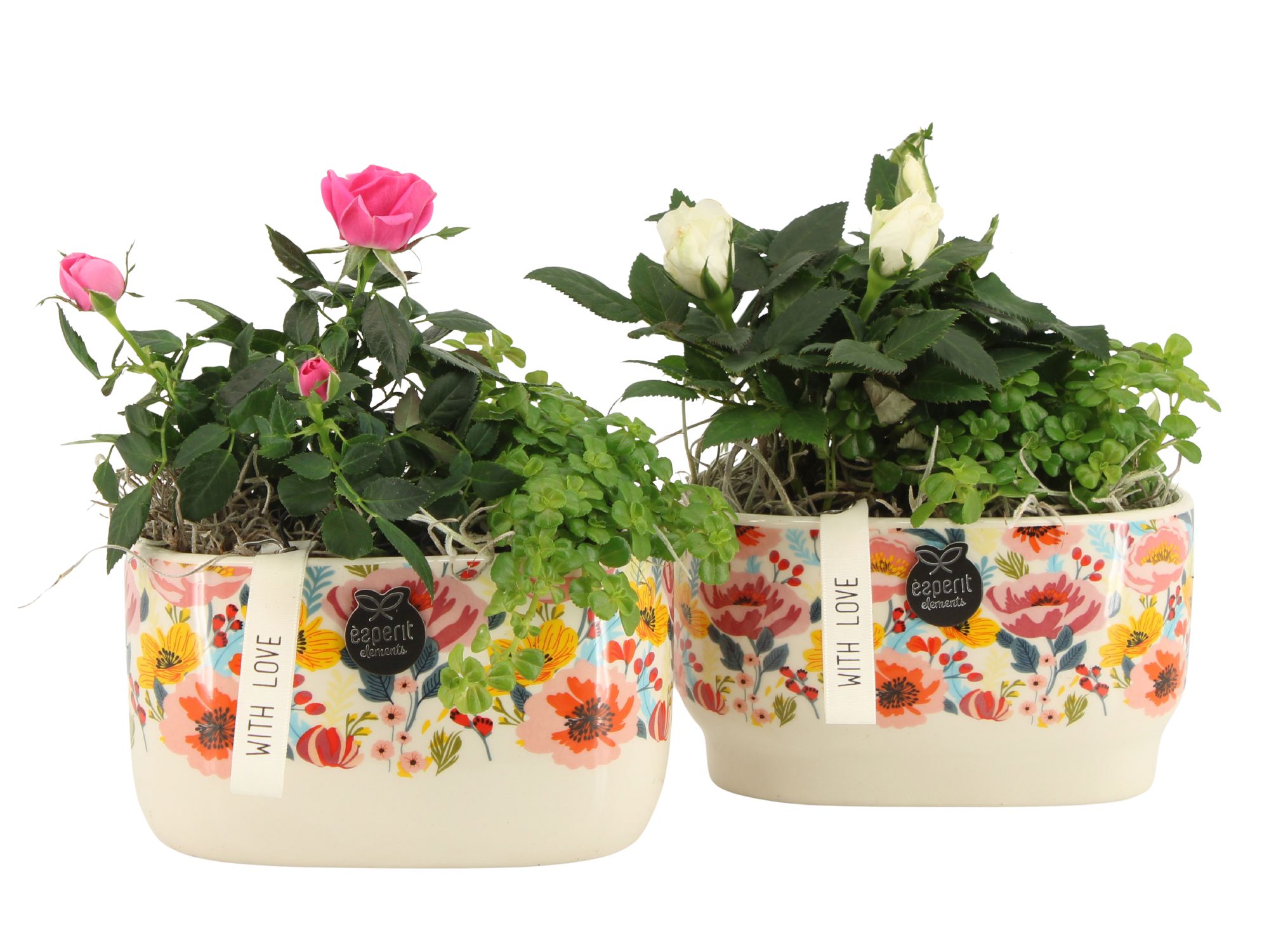 21821: Lovess arrangement, D 14