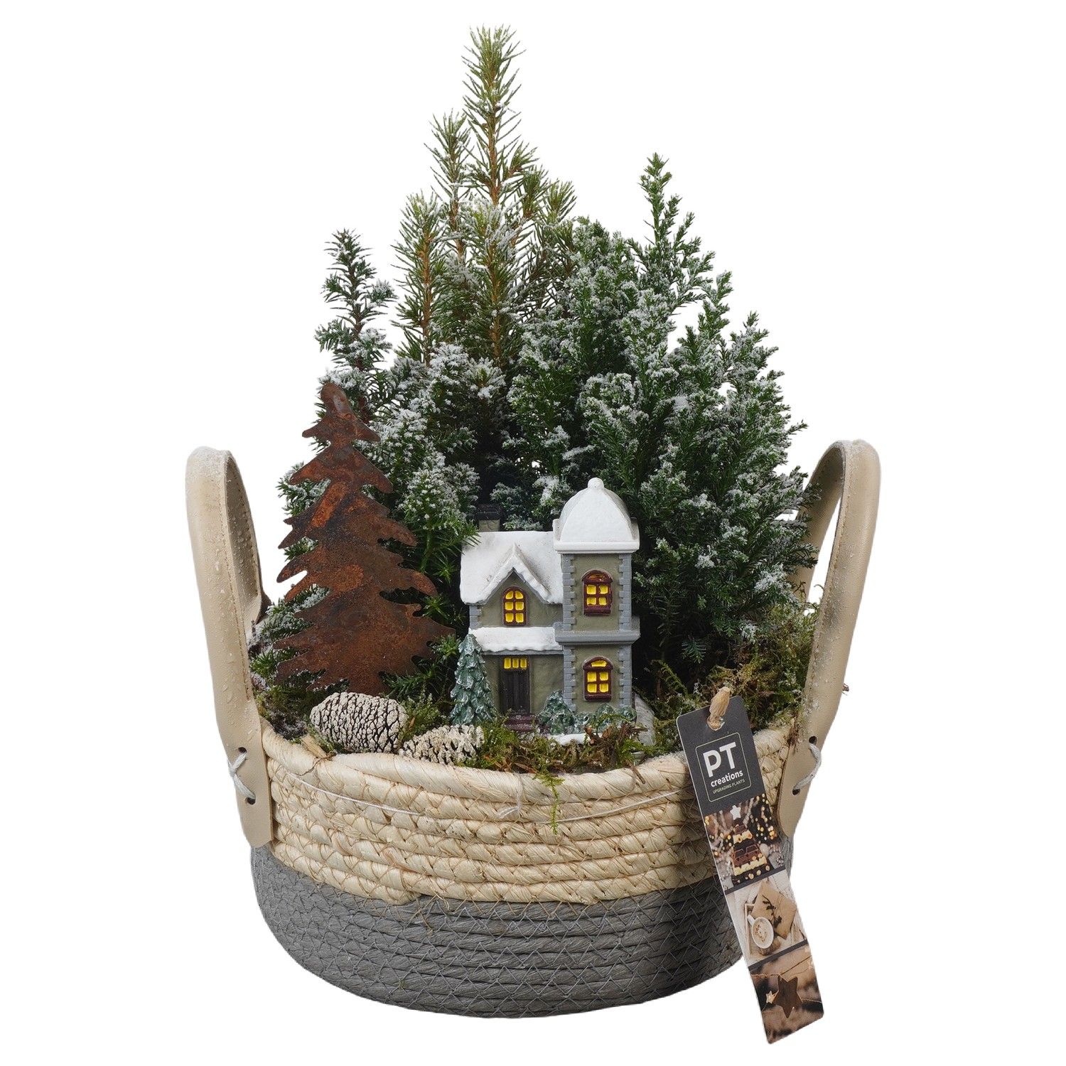 PTCWW6892 Arrangement Winter in rieten mand, D 21 cm