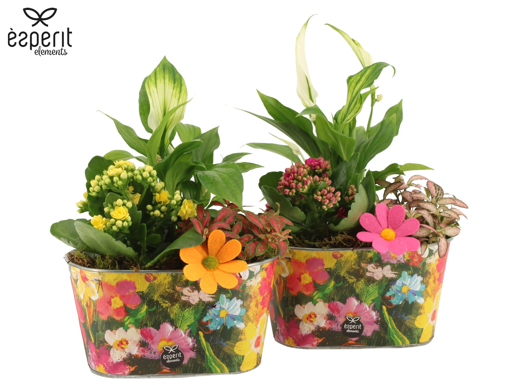 31750: Reinvention arrangement, D 19