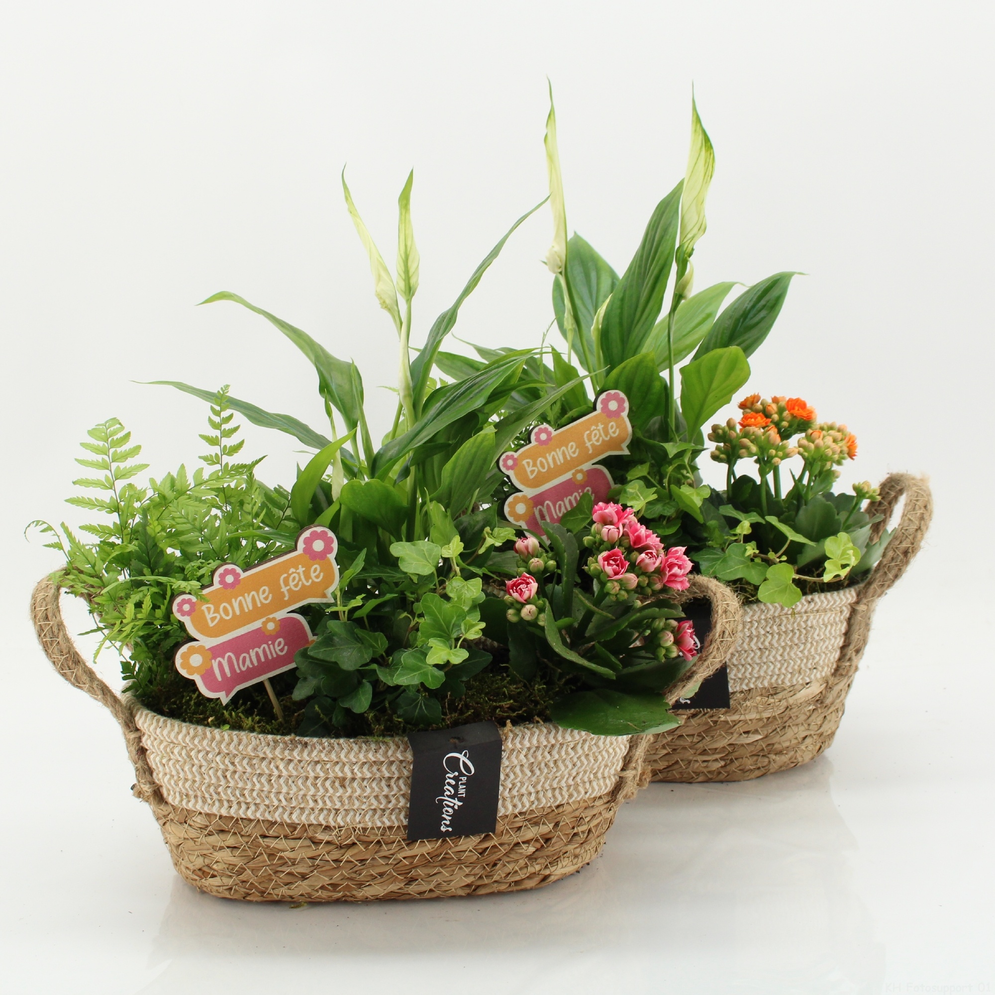 FGCR-2624 Fête des grands-mères, D 24