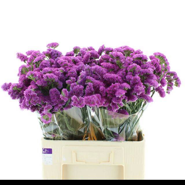 Статица Распберри Вингз 65, шт.