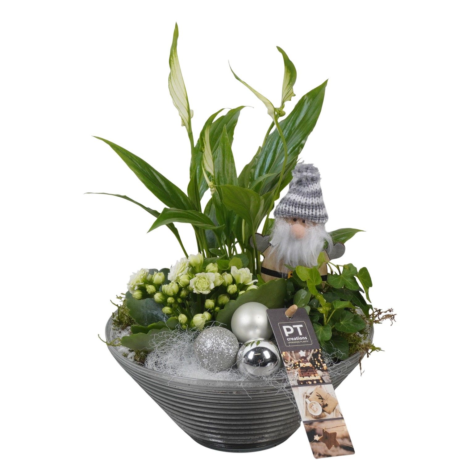 PTCHW4355 Arrangement Christmas White in glas schaal, D 19 cm