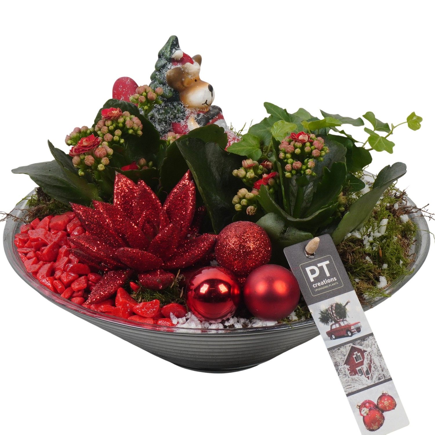 PTCHR7434 Arrangement Christmas Red in glas schaal, D 26 cm