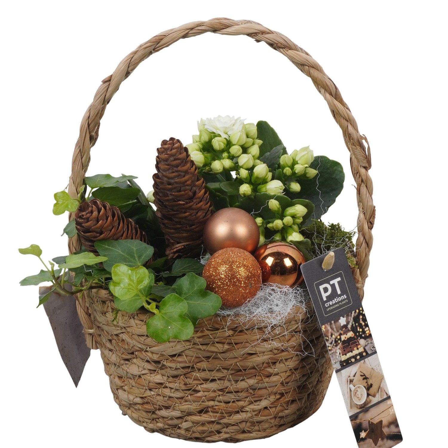 PTCHB9797 Arrangement Christmas Bronze in rieten mand, D 15 cm