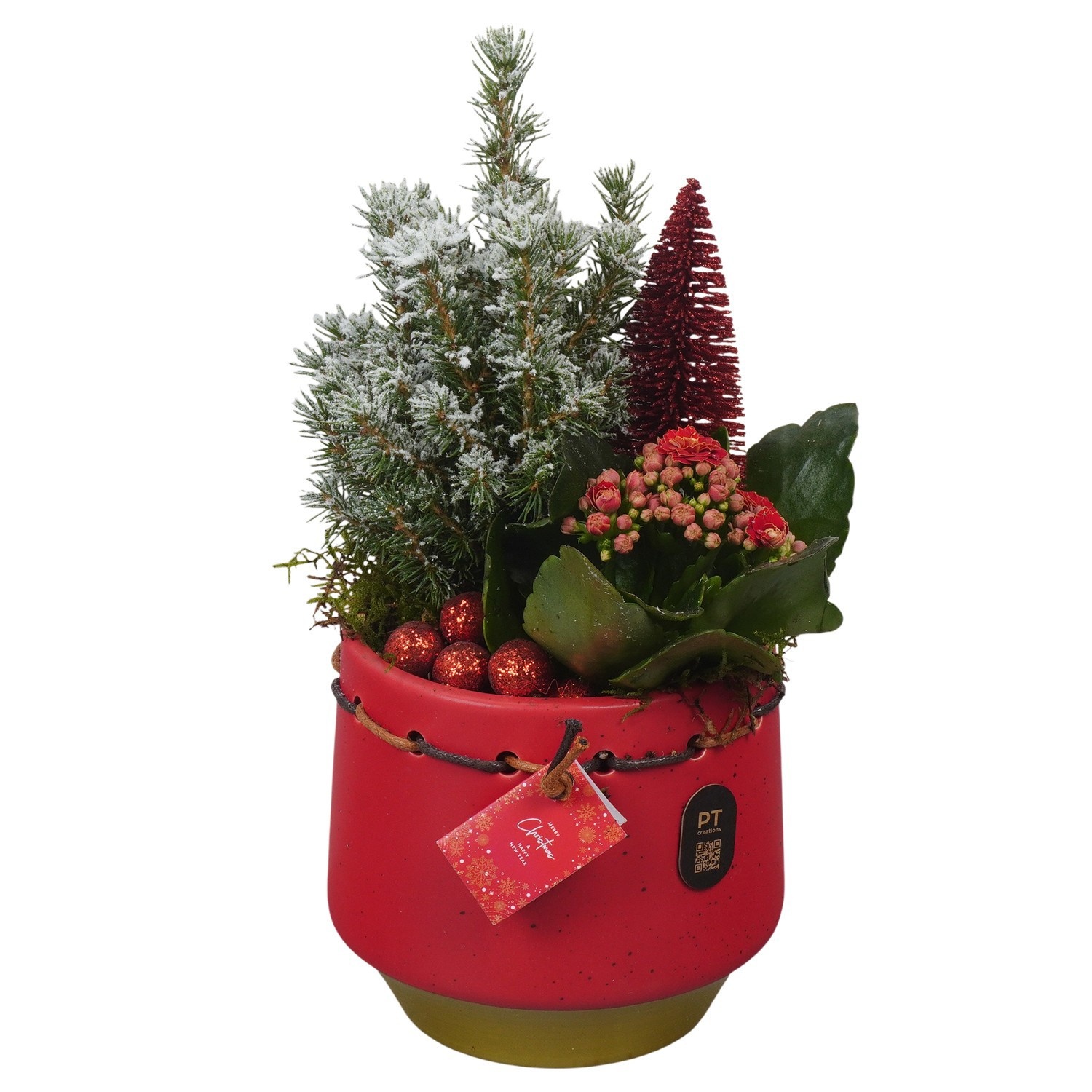 PTCHR9547 Arrangement Christmas Red in keramiek pot, D 13