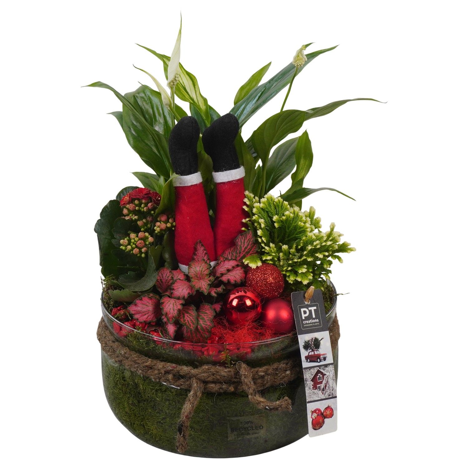 PTCHR7444 Arrangement Christmas Red in glas schaal, D 19 cm