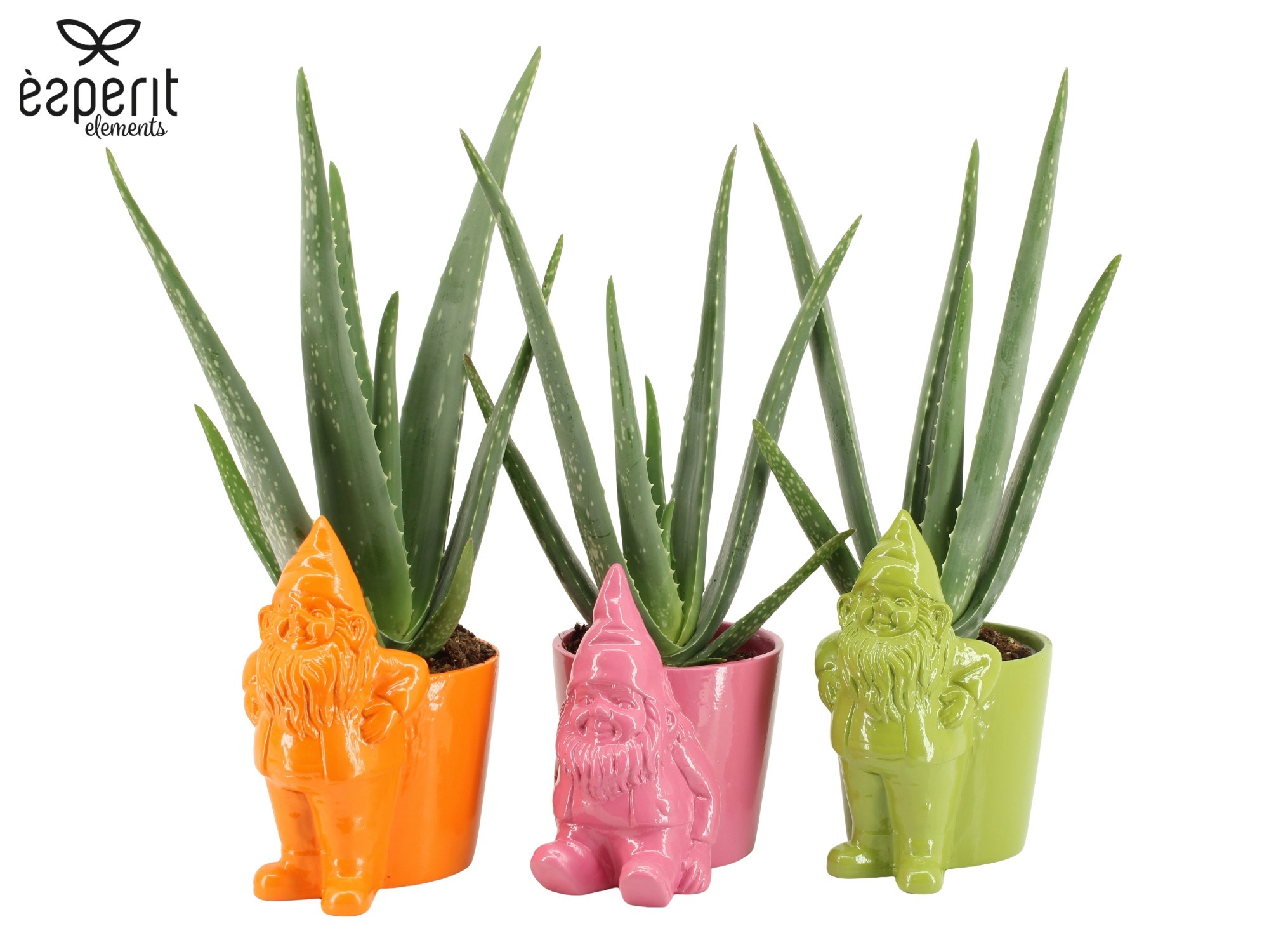 7503562: Solutionss Reinvention, D 10,5