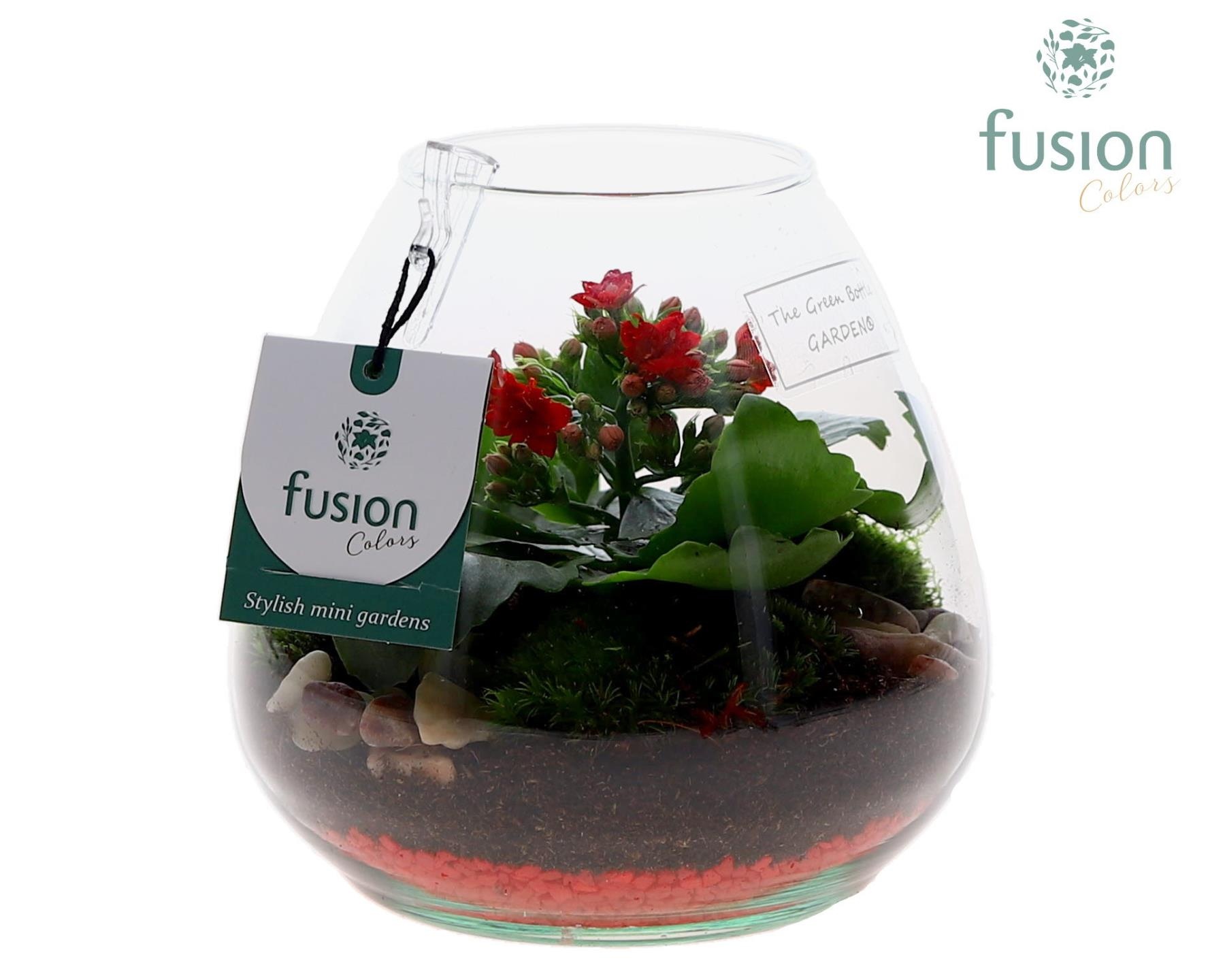 Green Bottle Abby Small Love met Kalancho, D 15