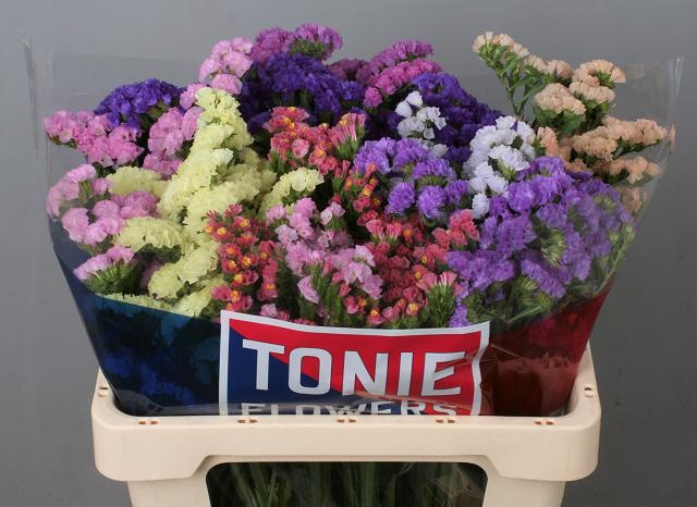 Статица Микс 60, шт.