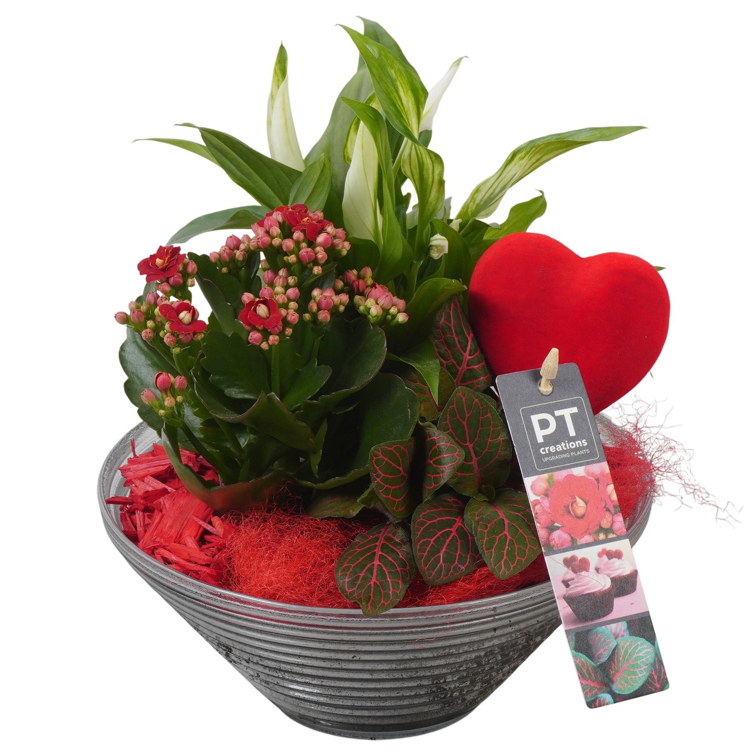 PTVMG4967 Arrangement Valentines-Mothersday in glas schaal, D 19