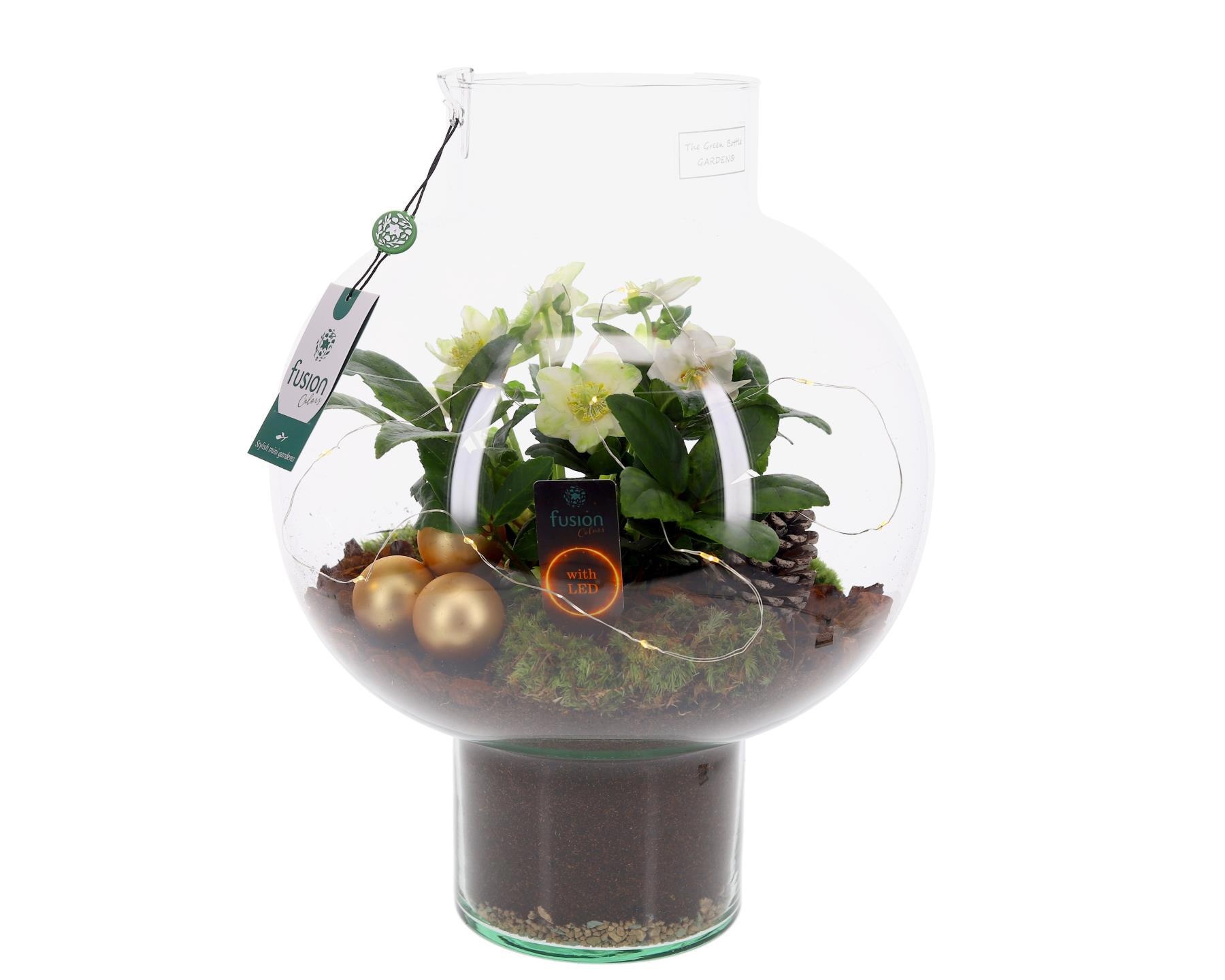 Green Bottle Laura Large met Kerst arrangement, D 31 cm Green Bottle Laura Large met Kerst arrangement, D 31 cm