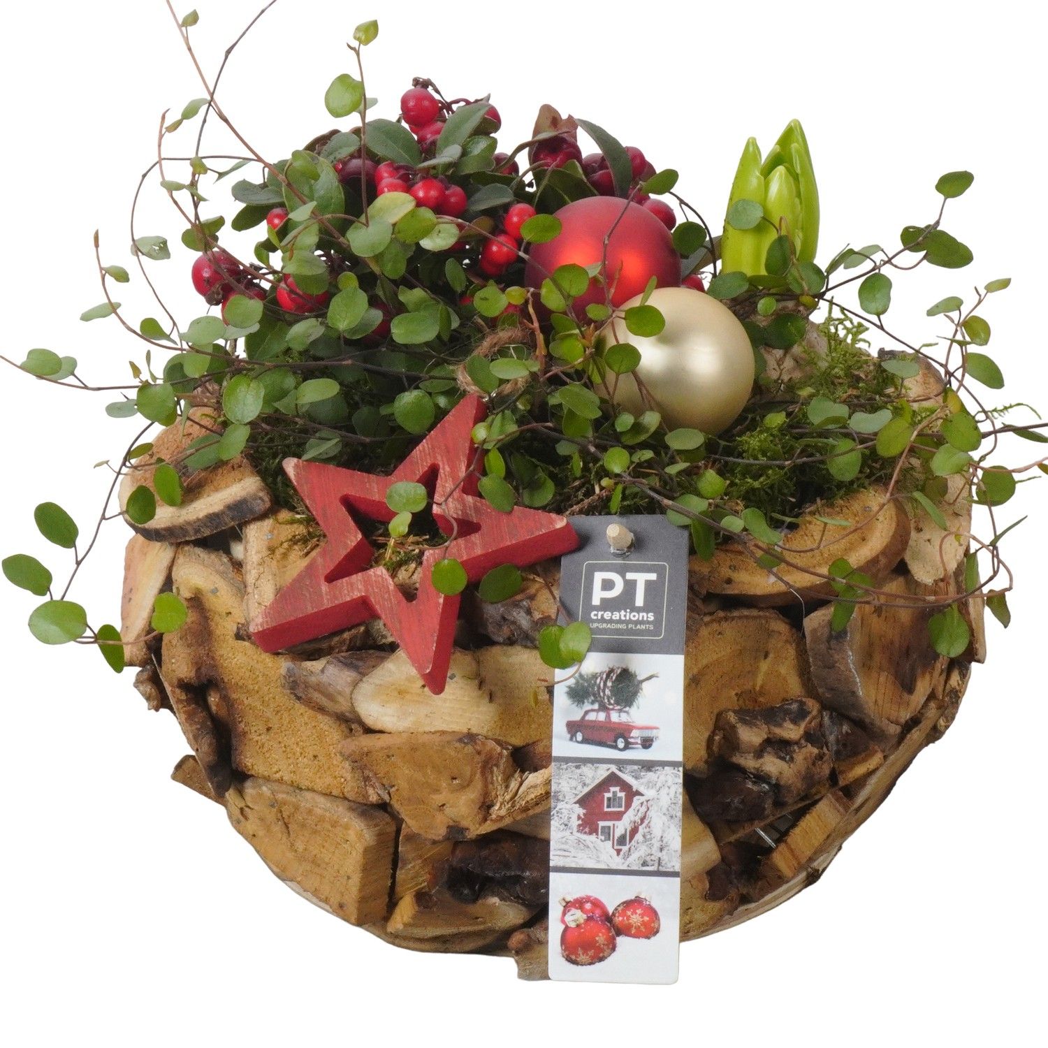 PTWO1904 Arrangement Winter Outdoor in houten bak, D 24 cm PTWO1904 Arrangement Winter Outdoor in houten bak, D 24 cm