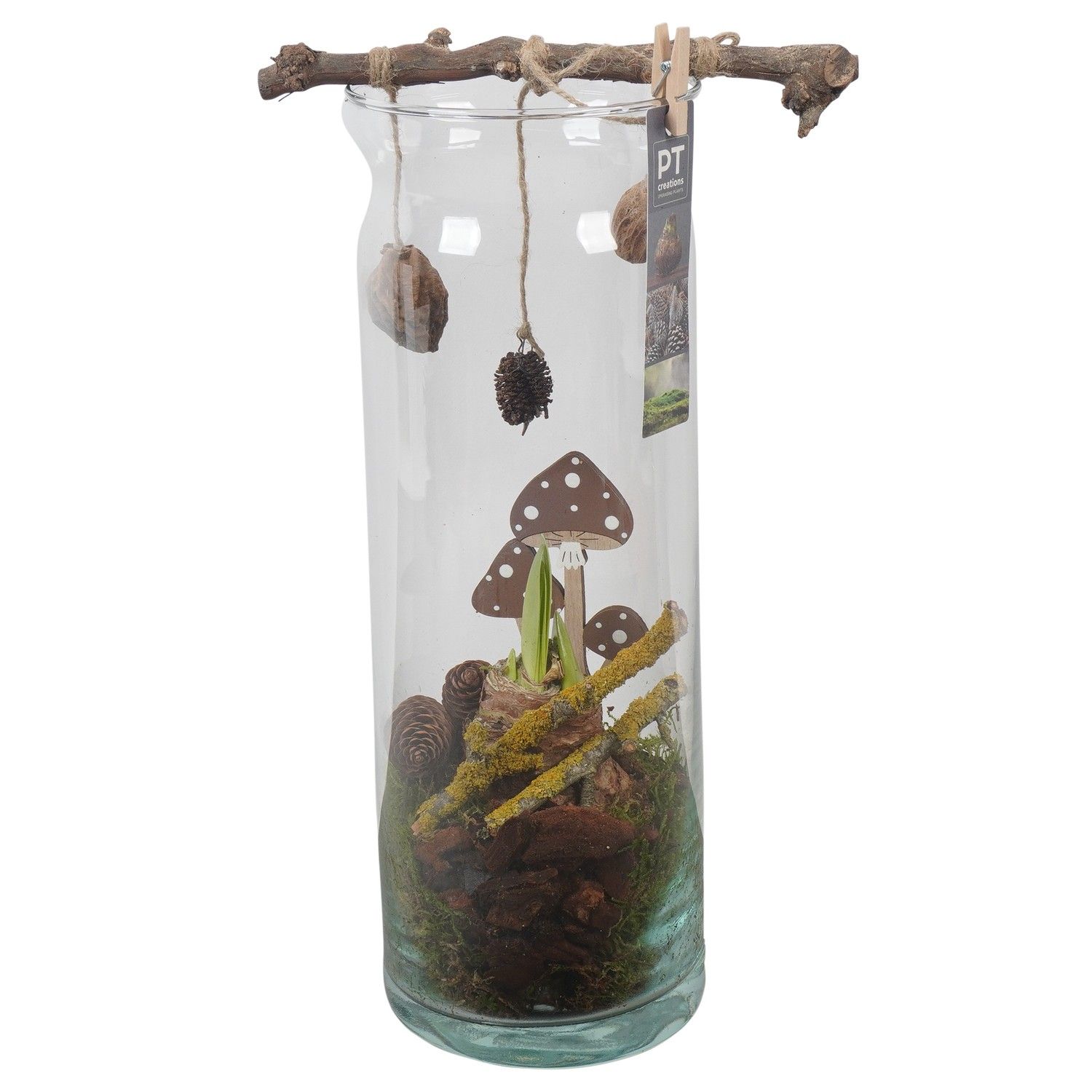 PTAA7594 Arrangement Amaryllis in glazen vaas, D 12 cm