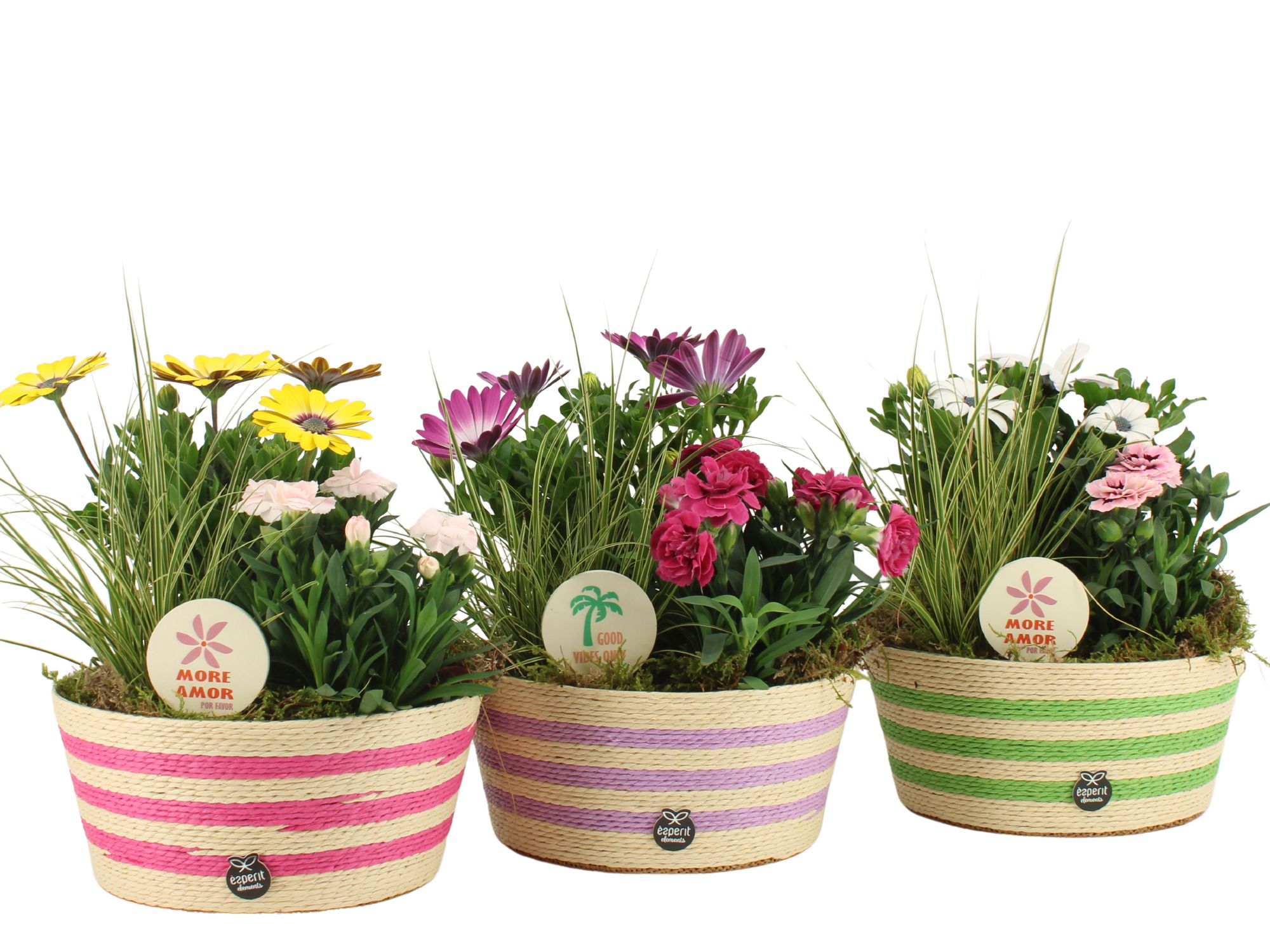 31601: Outdoor summer arrangement, D 18