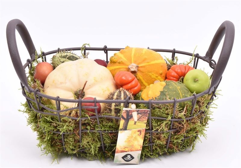 Gaasmand 25x16cm, D 24 cm