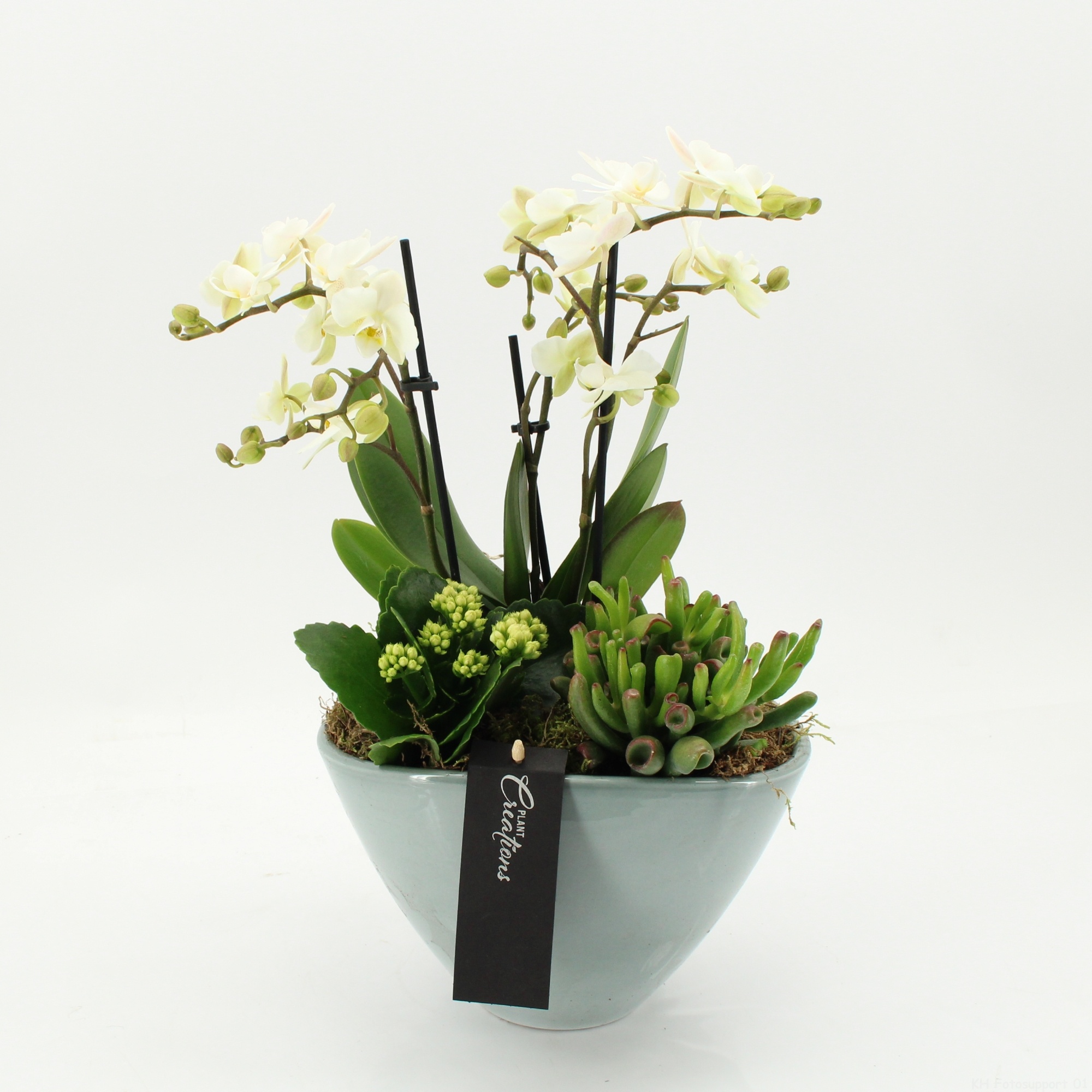 PROMO-2605 Blue Monday, D 21