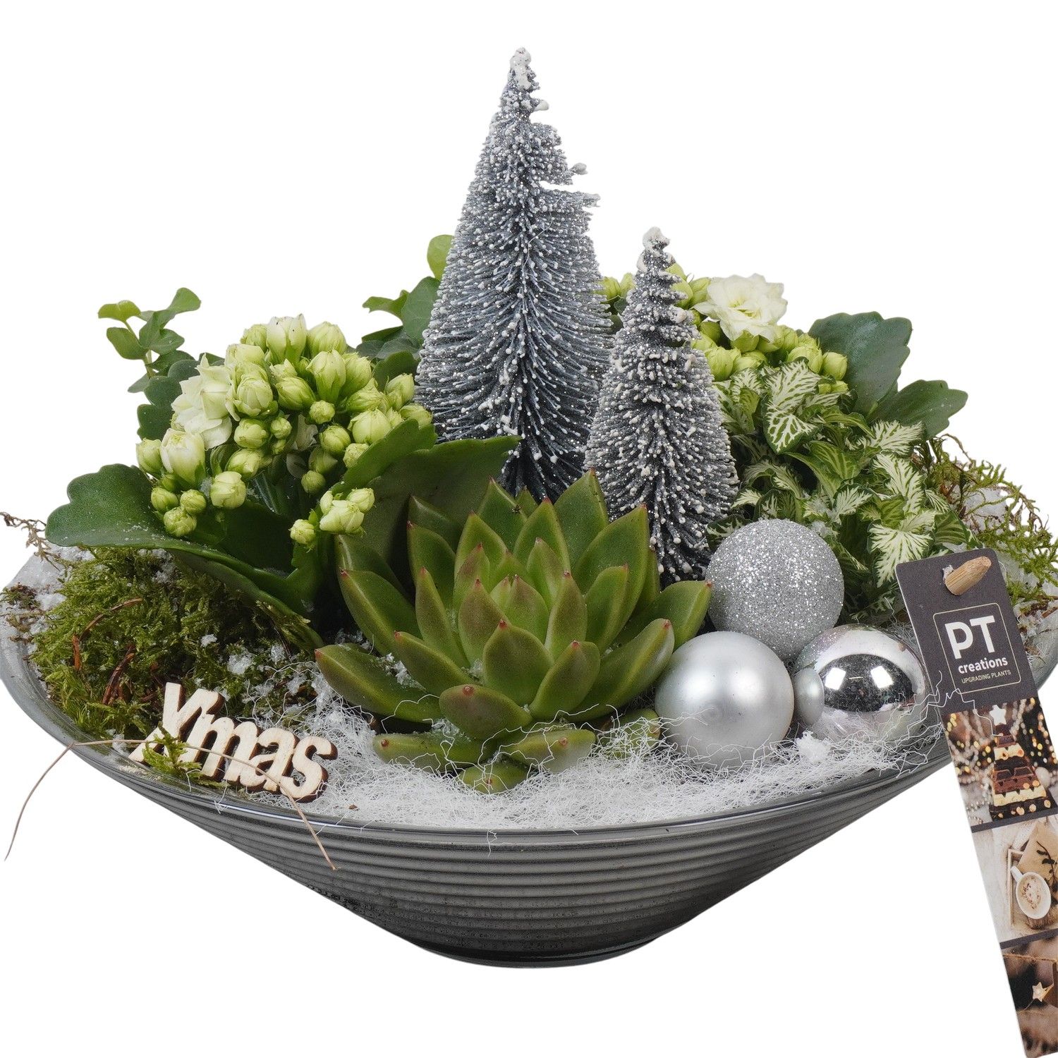 PTCHW4357 Arrangement Christmas White in glas schaal, D 26 cm