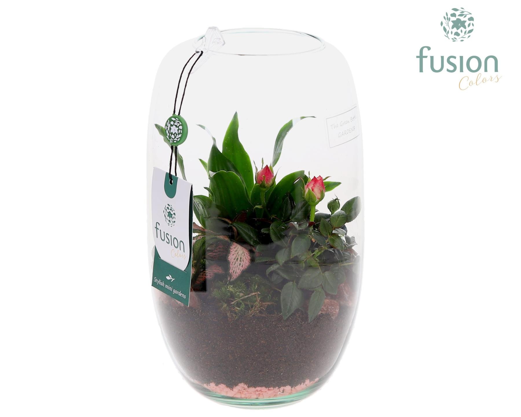 Green Bottle Isabella Medium Love met arrangement, D 15