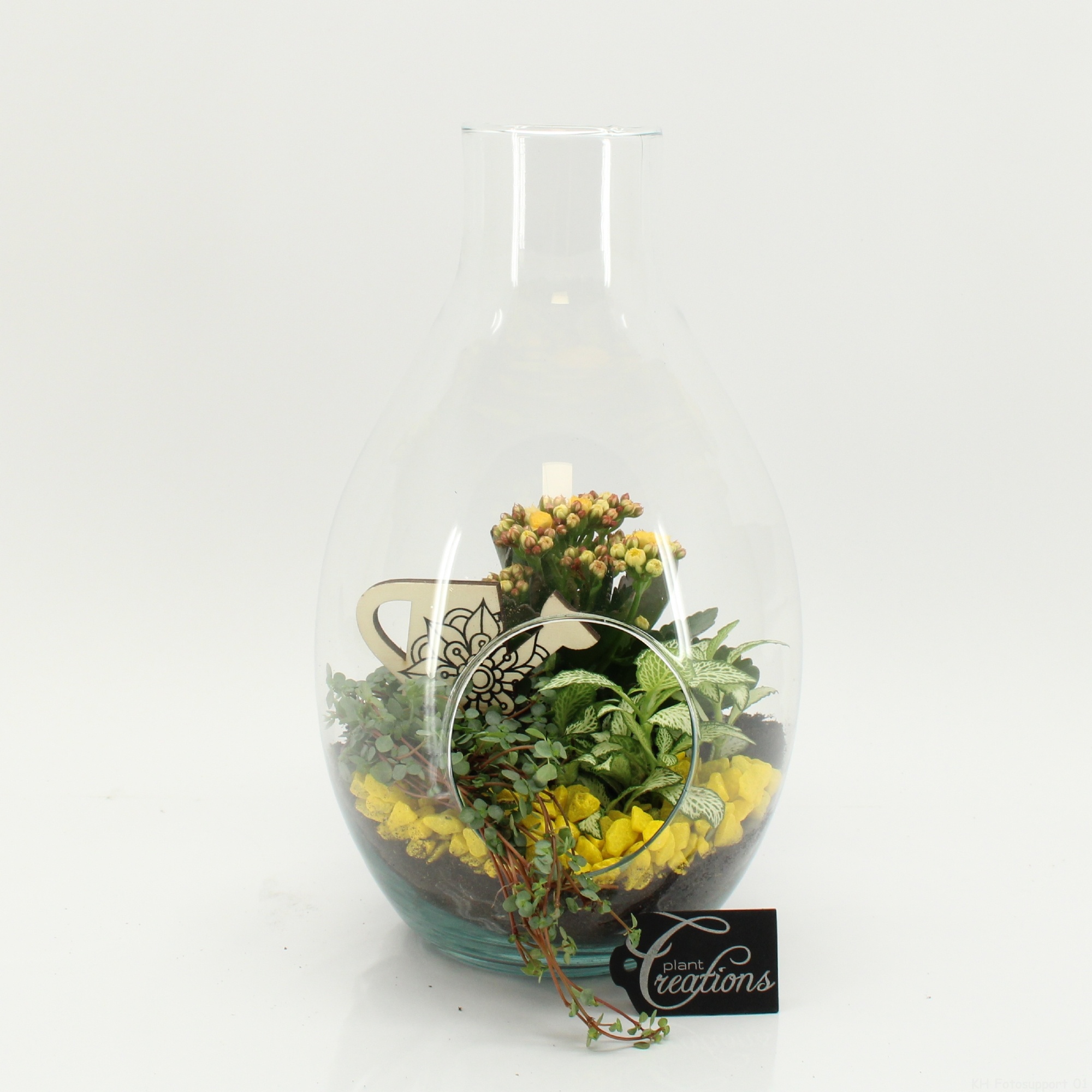 FDCR-2605G Basic Fundamentals terrarium, D 17