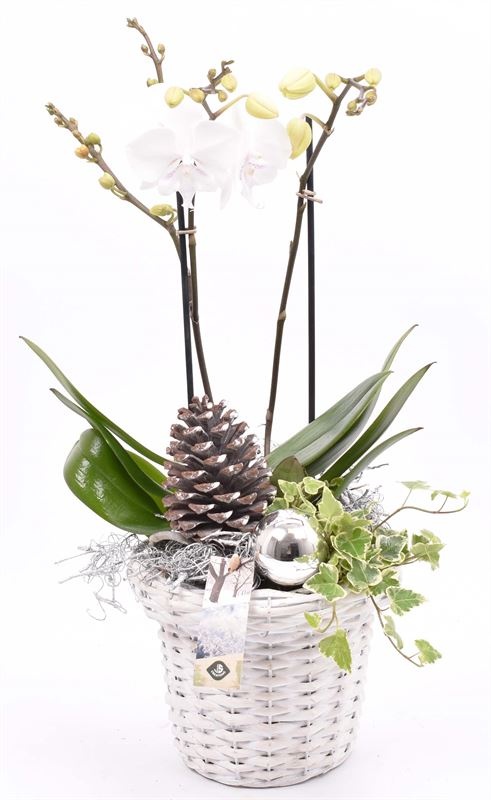 Wilg bloempot wit 18cm, D 18 cm