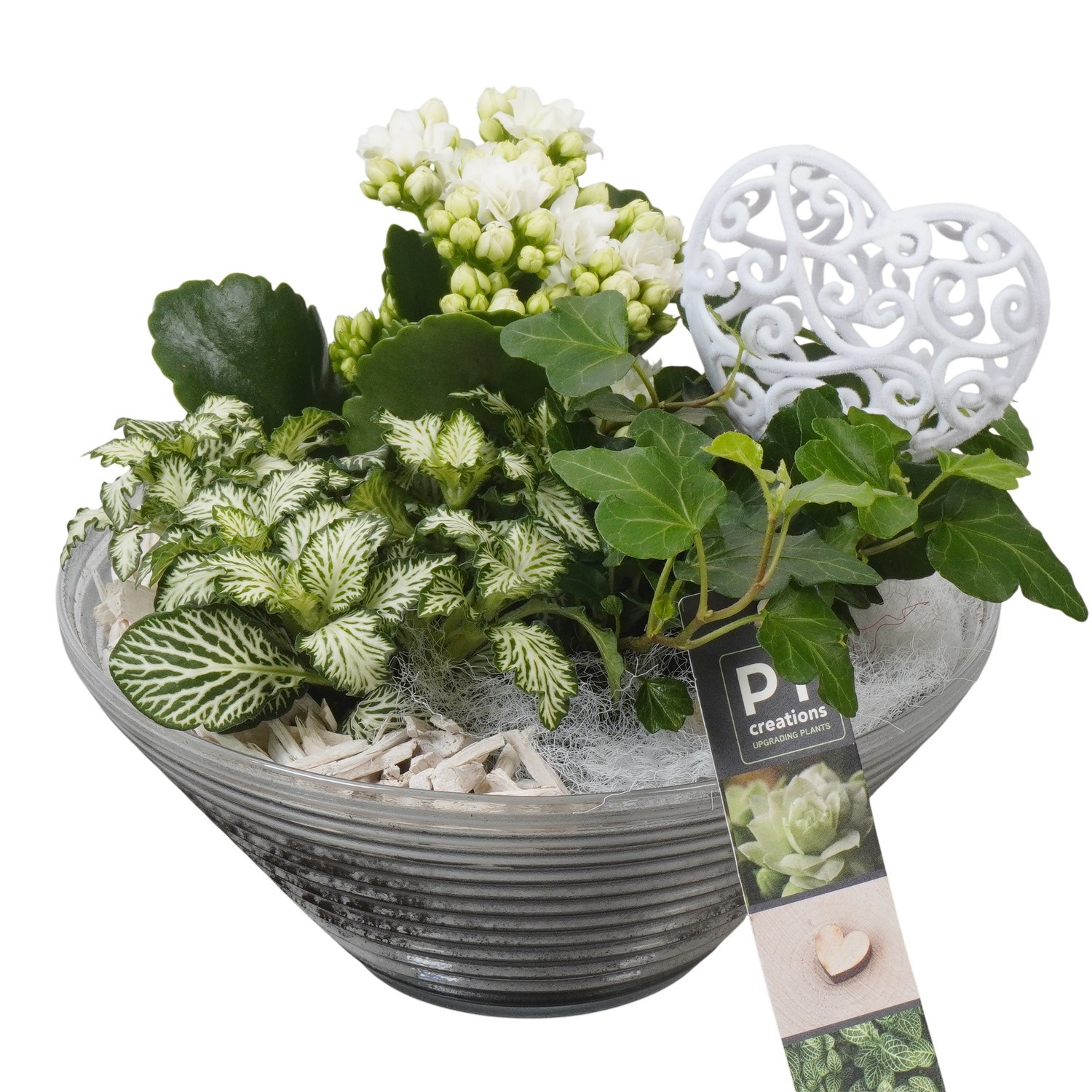 PTVMG4965 Arrangement Valentines-Mothersday in glas schaal, D 19