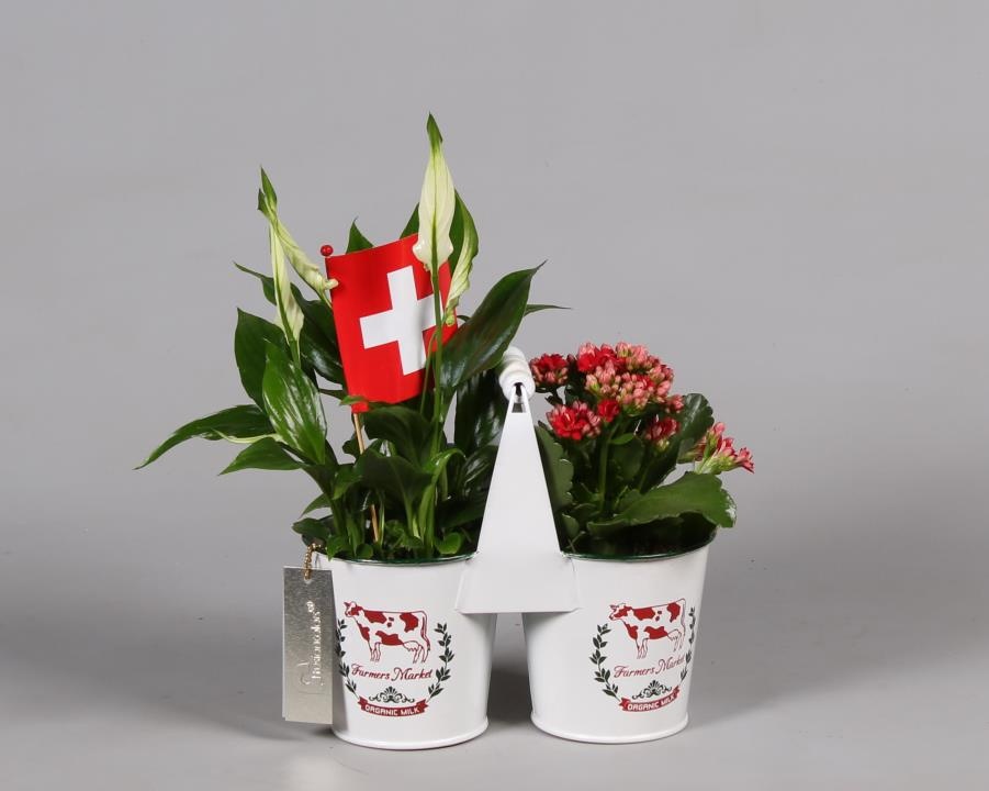 Zinken plantenbak met Arrangement en Zwitserse vlag, D 22 cm Zinken plantenbak met Arrangement en Zwitserse vlag, D 22 cm