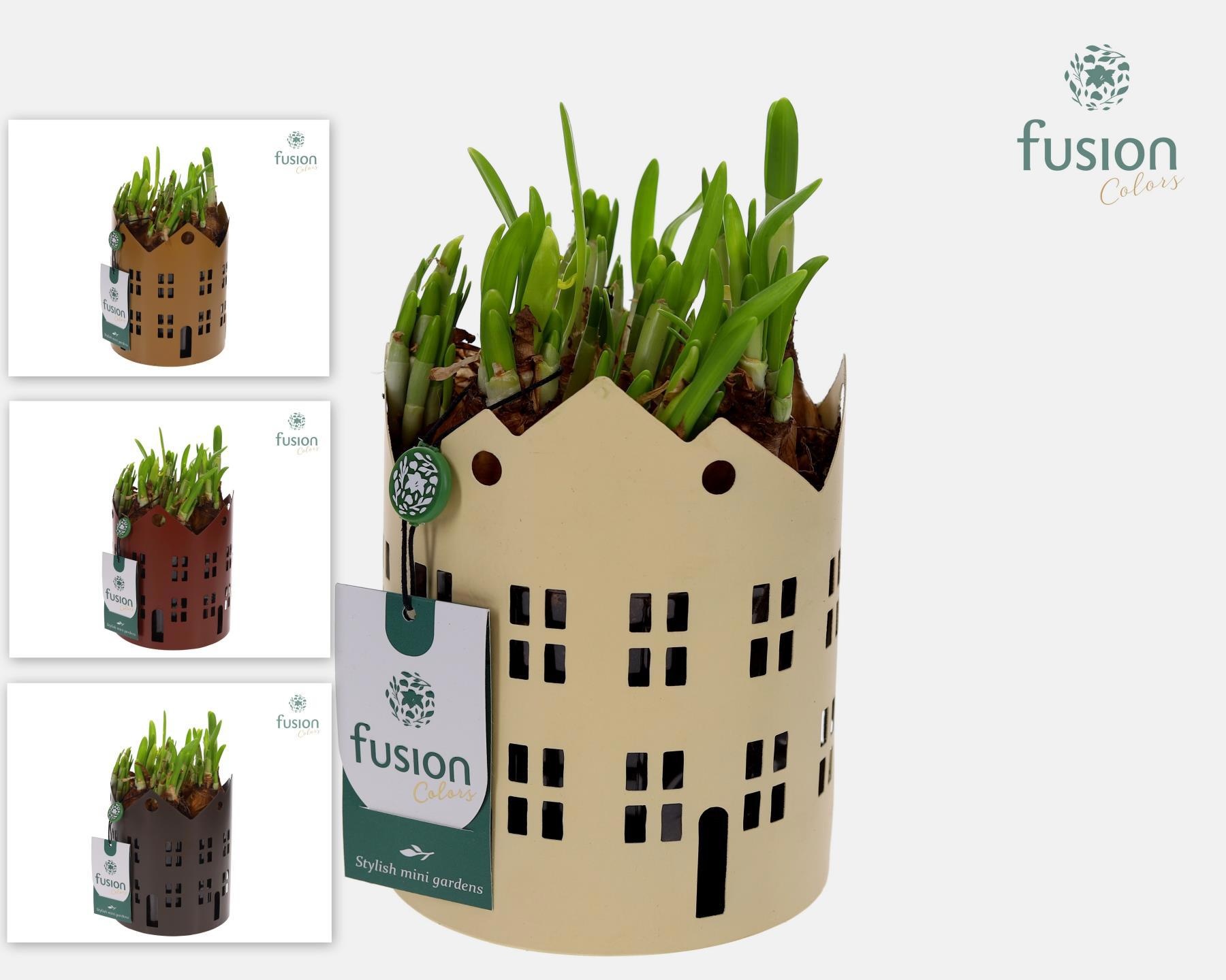 Zinken Huisjes planter met Narcis, D 13 cm