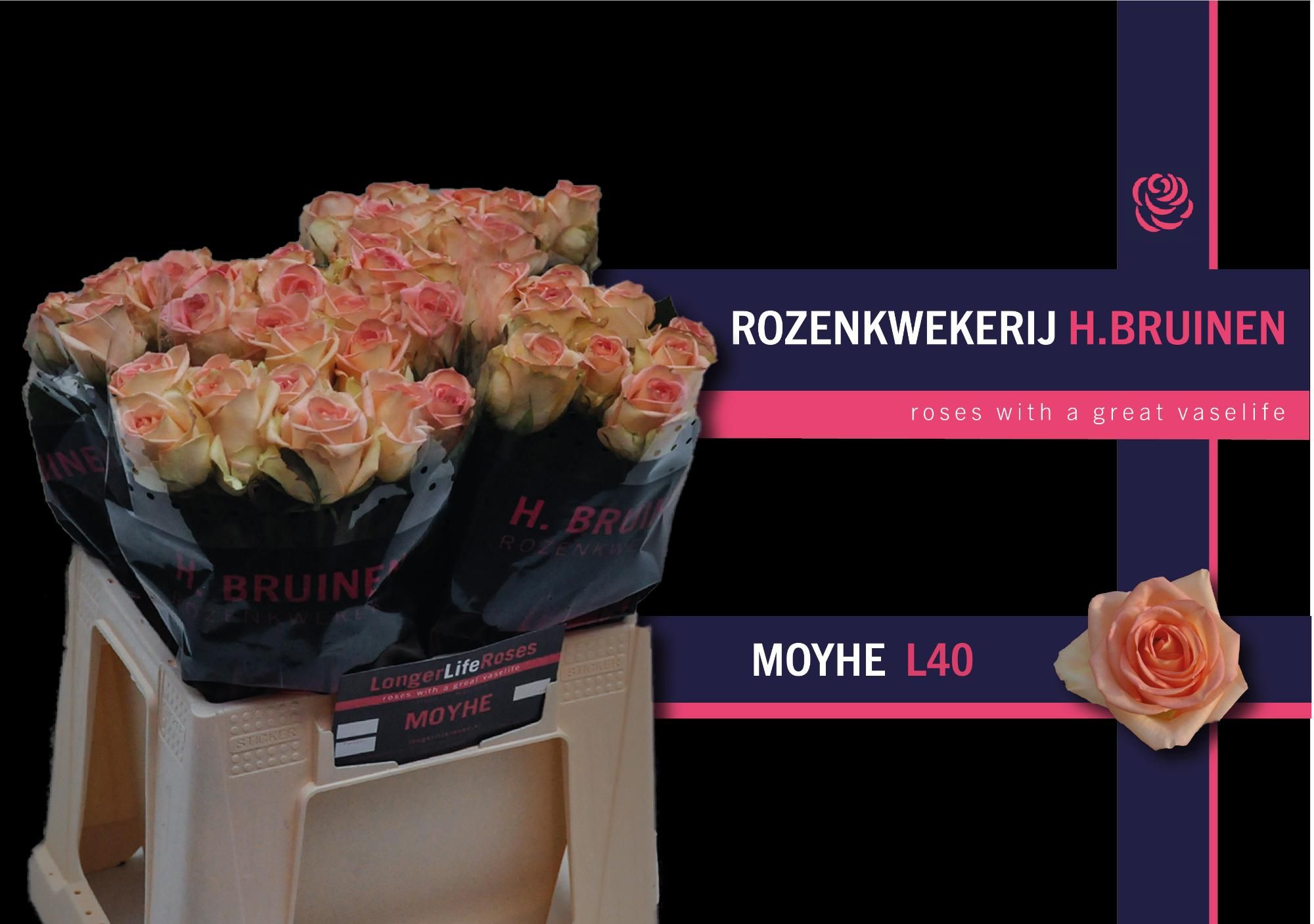 Роза од. Мое 40, шт.